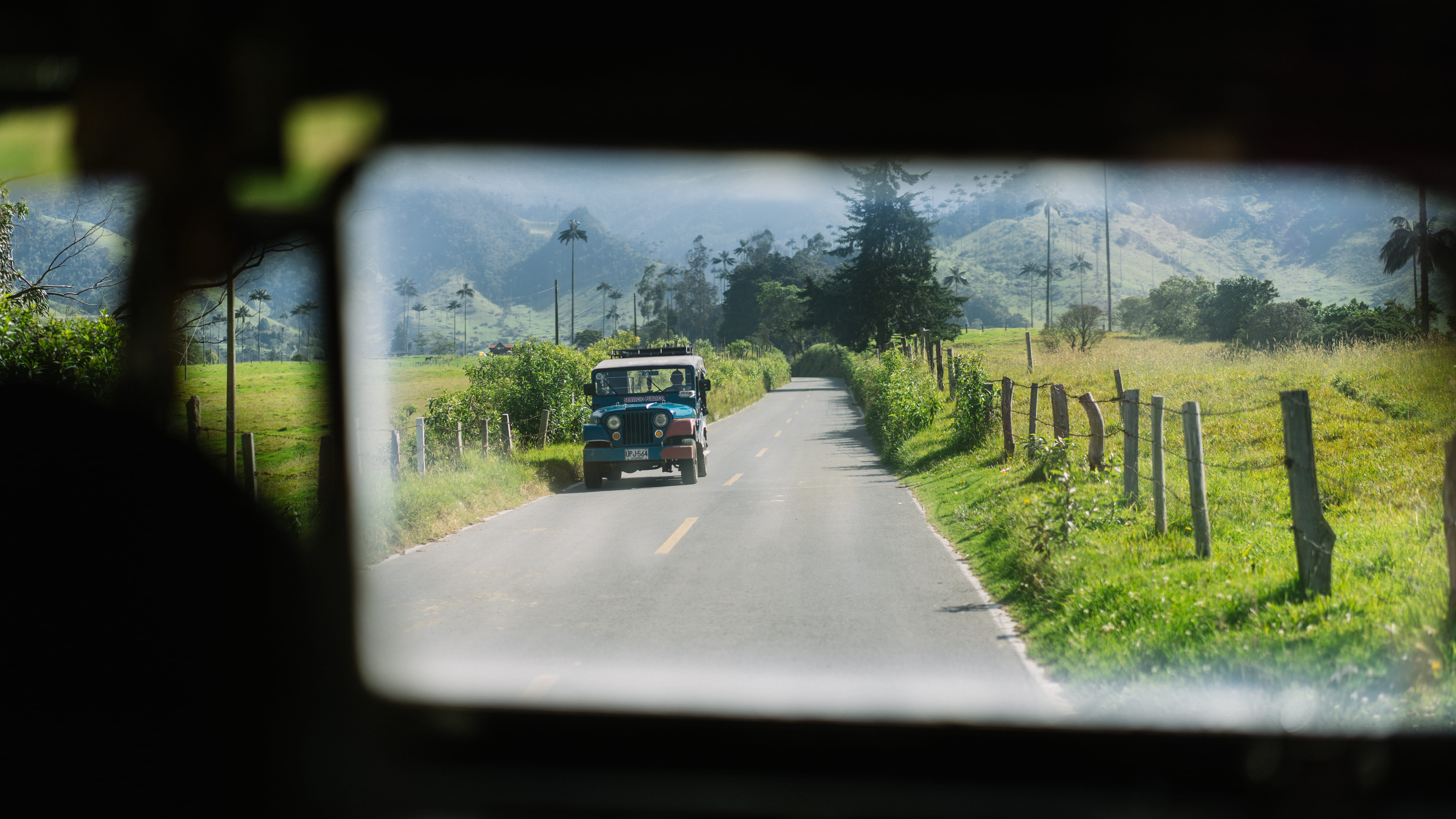 car, 5K, plant, on the move, near, tree, nature, window, transportation, driving, suv, drive, wrangler, motor vehicle, direction, glass - material, outdoors, HD Wallpaper