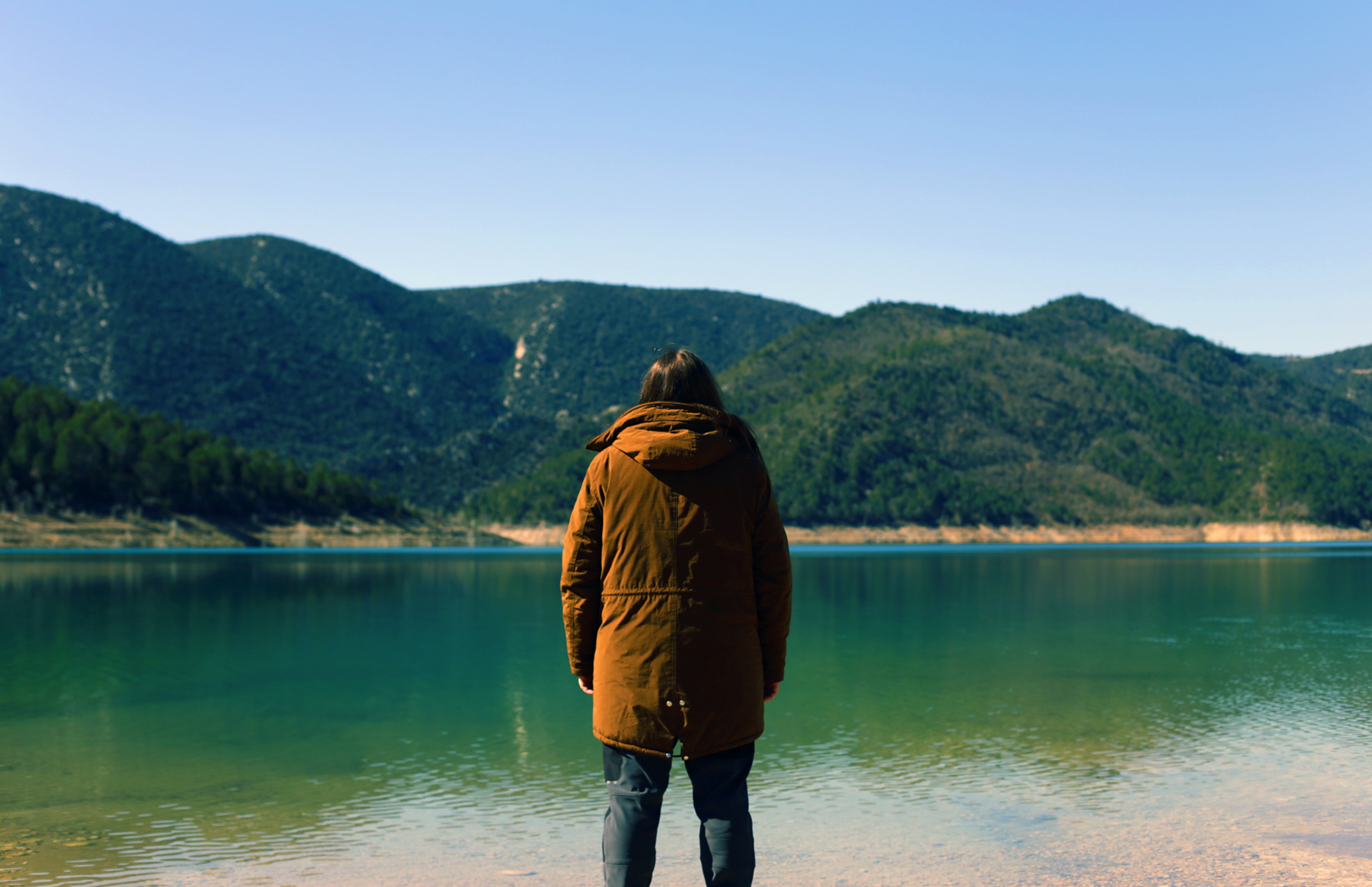 male, reflection, brown, rear view, lush, tree, contemplate, tranquil scene, style, mountain, standing, day, leisure activity, still, coast, three quarter length, HD Wallpaper
