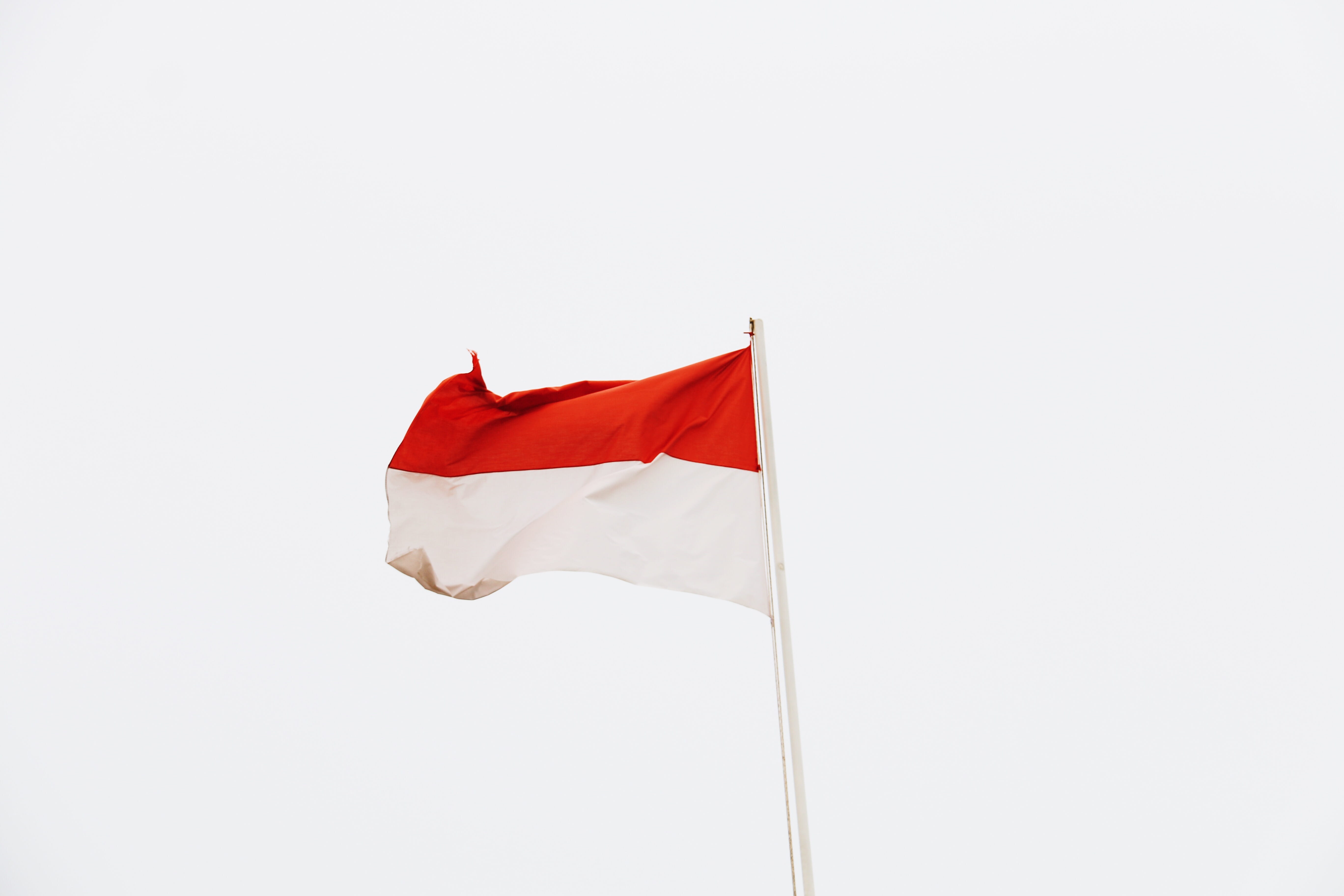 nature, red, waving, 5K, jakarta, white color, patriotism, pole, sky, clear sky, no people, wind, day, low angle view, outdoors, studio shot, flag, textile, HD Wallpaper