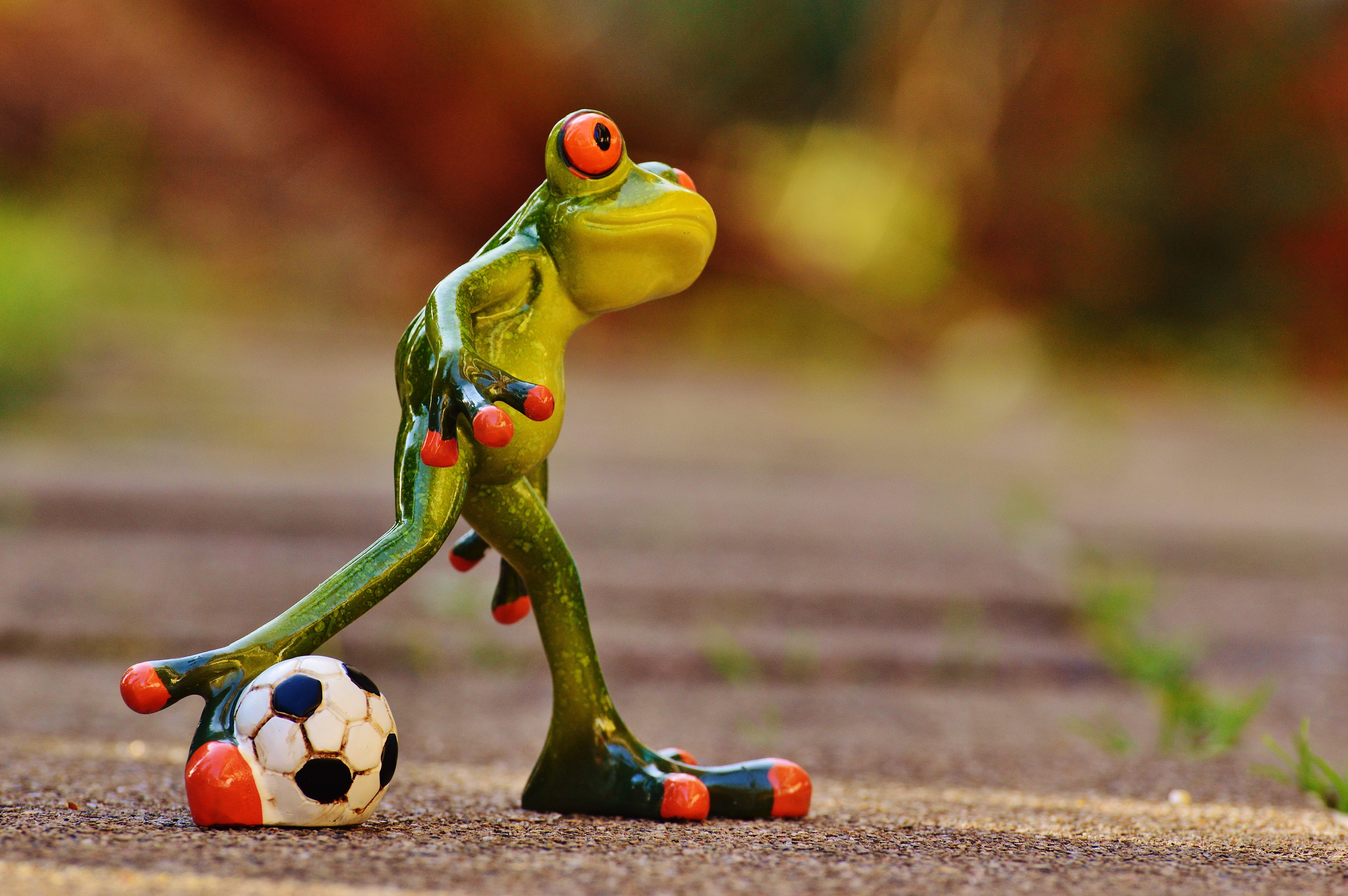 multi colored, soccer, toy, bird, figurine, animal themes, football, food and drink, play, sport, sweet, ball, animal representation, no people, sports equipment, HD Wallpaper