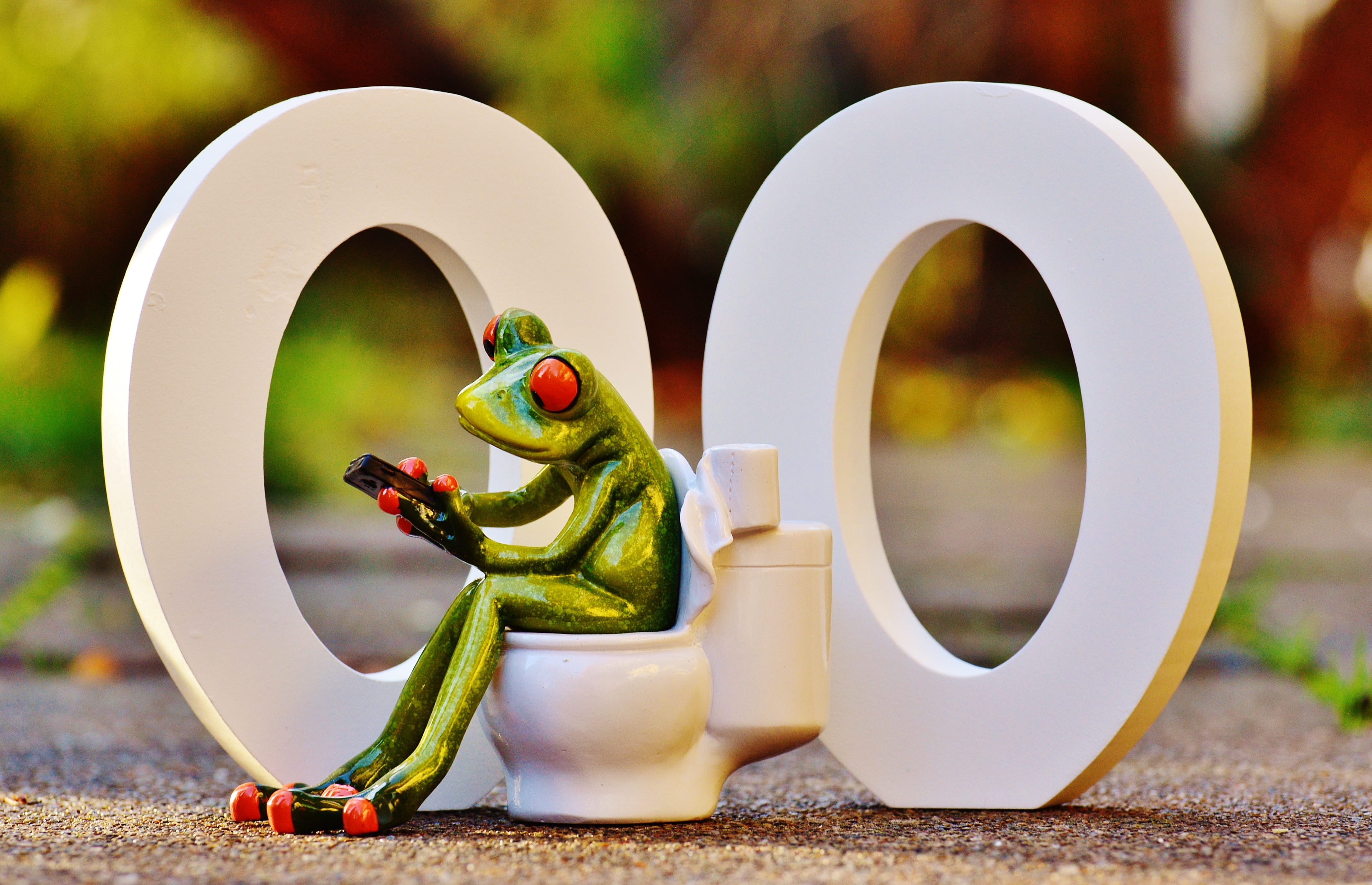 ceramic, loo, figurine, food, frog, close-up, food and drink, animal representation, mobile phone, creativity, funny, nature, plant, session, green, white, HD Wallpaper