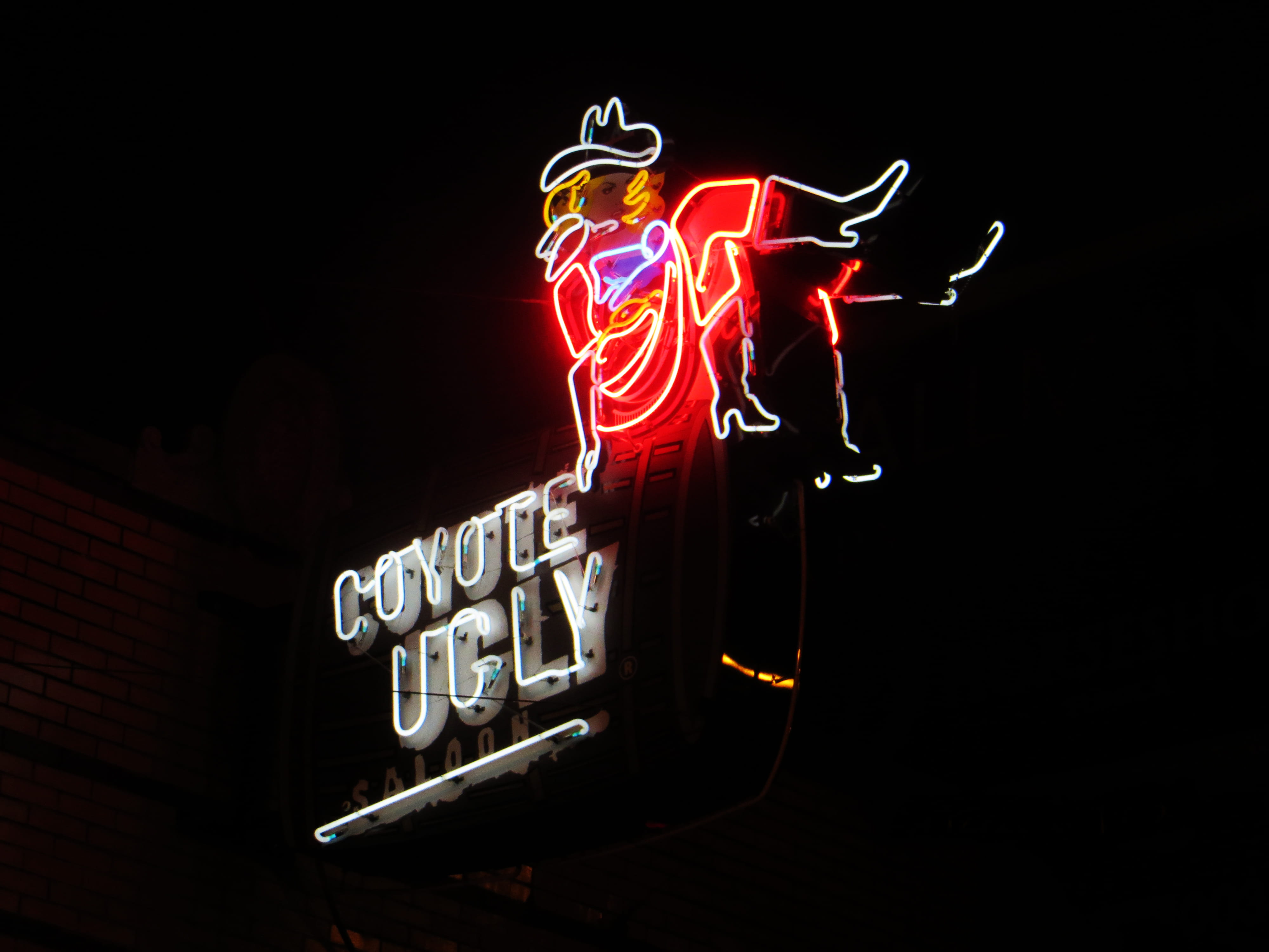 copy space, evening, coyote, memphis, studio shot, black background, text, illustration, flame, light, sign, signage, illuminated, communication, lights, HD Wallpaper