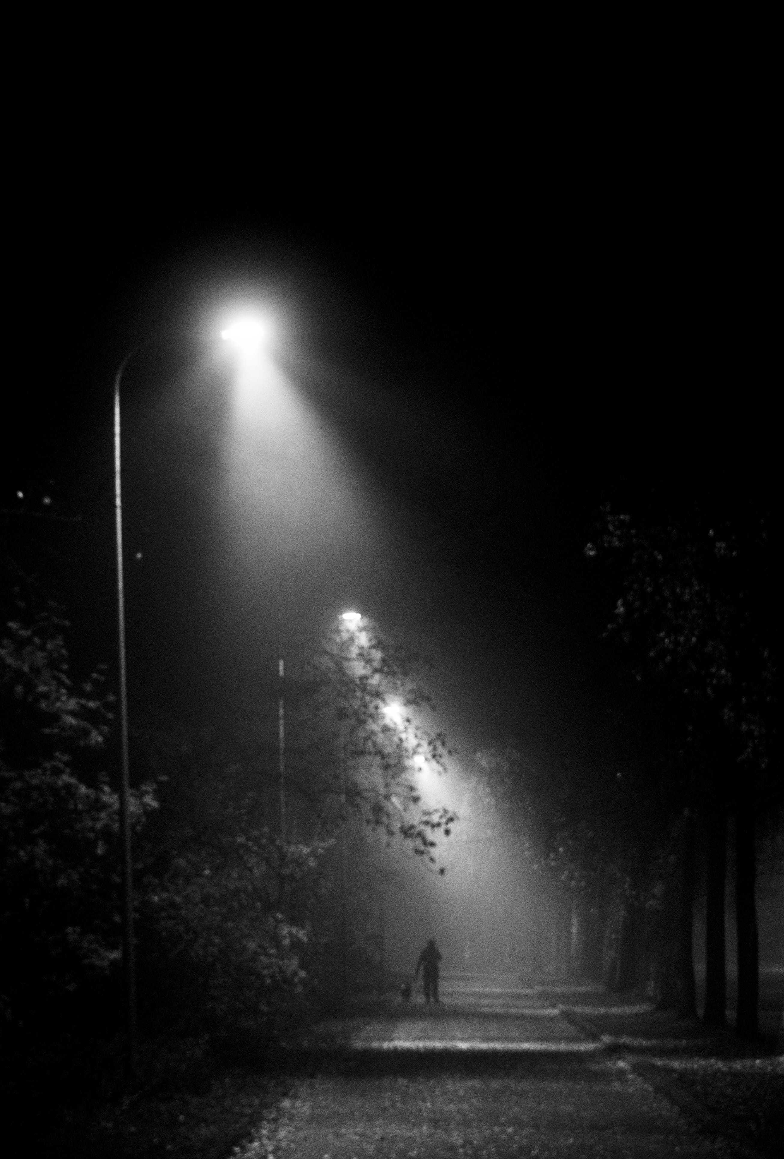 direction, nature, sky, outdoors, fog, night, moonlight, road, spooky, plant, mist, lamp post, tree, illuminated, spotlight, dark, led, human, the way forward, Phone HD Wallpaper