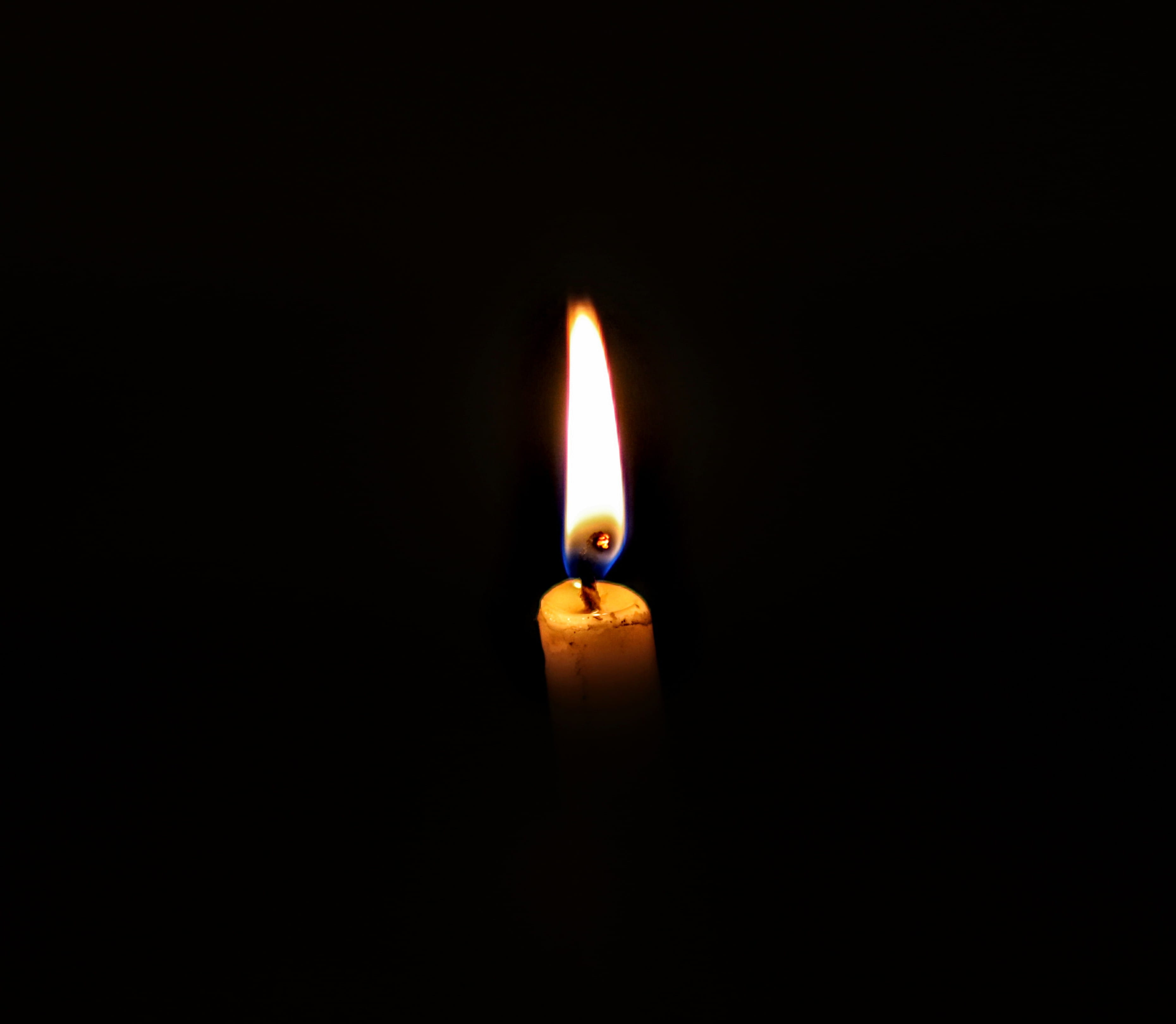 no people, peel, flame, orange color, light, luminosity, studio shot, close-up, nature, domestic room, melting, led, blade, yarn, heat - temperature, burning, HD Wallpaper