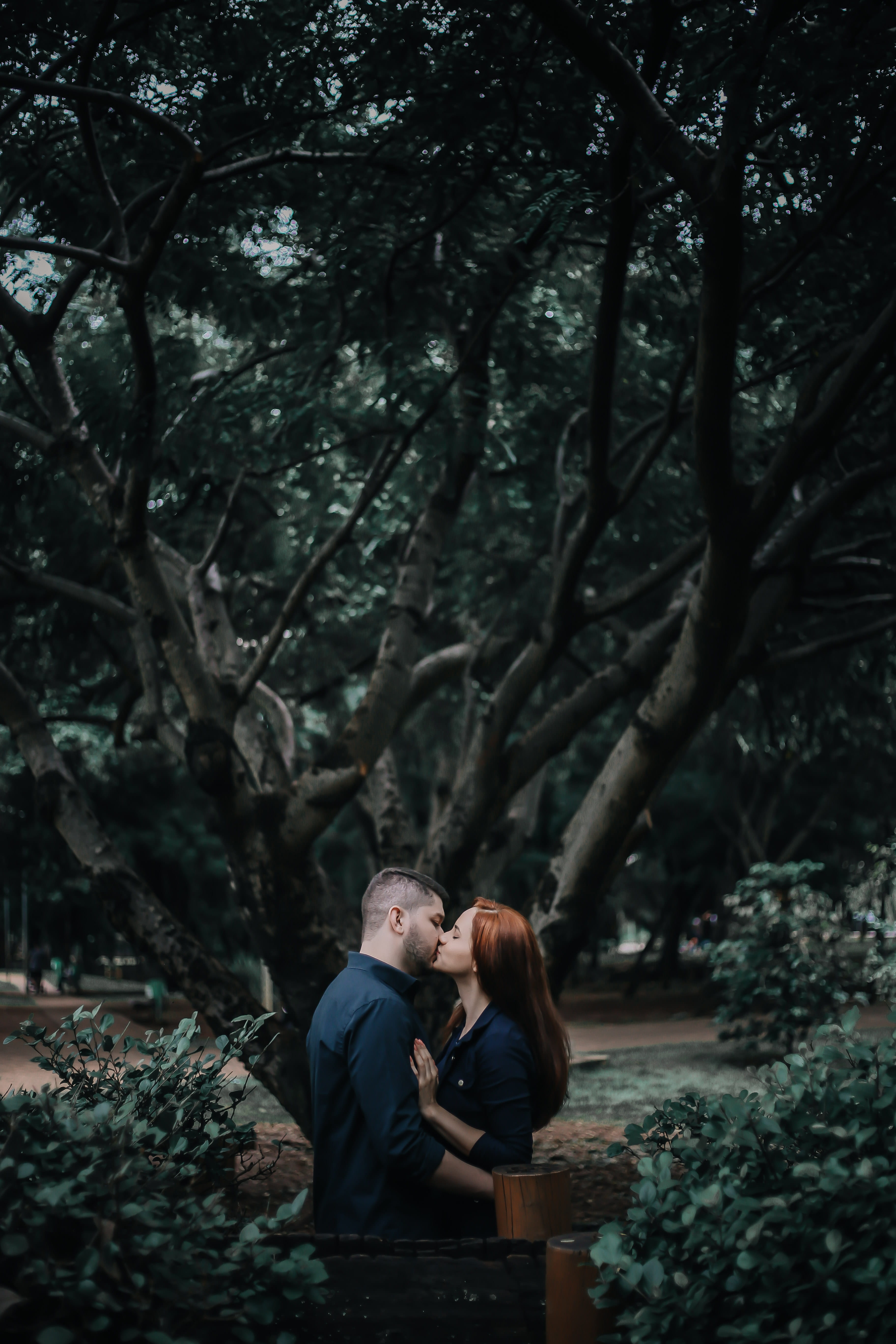 pants, apparel, emotion, positive emotion, love, 5K, young adult, people, two people, bonding, lifestyles, tree, vegetation, clothing, woodland, person, Phone HD Wallpaper