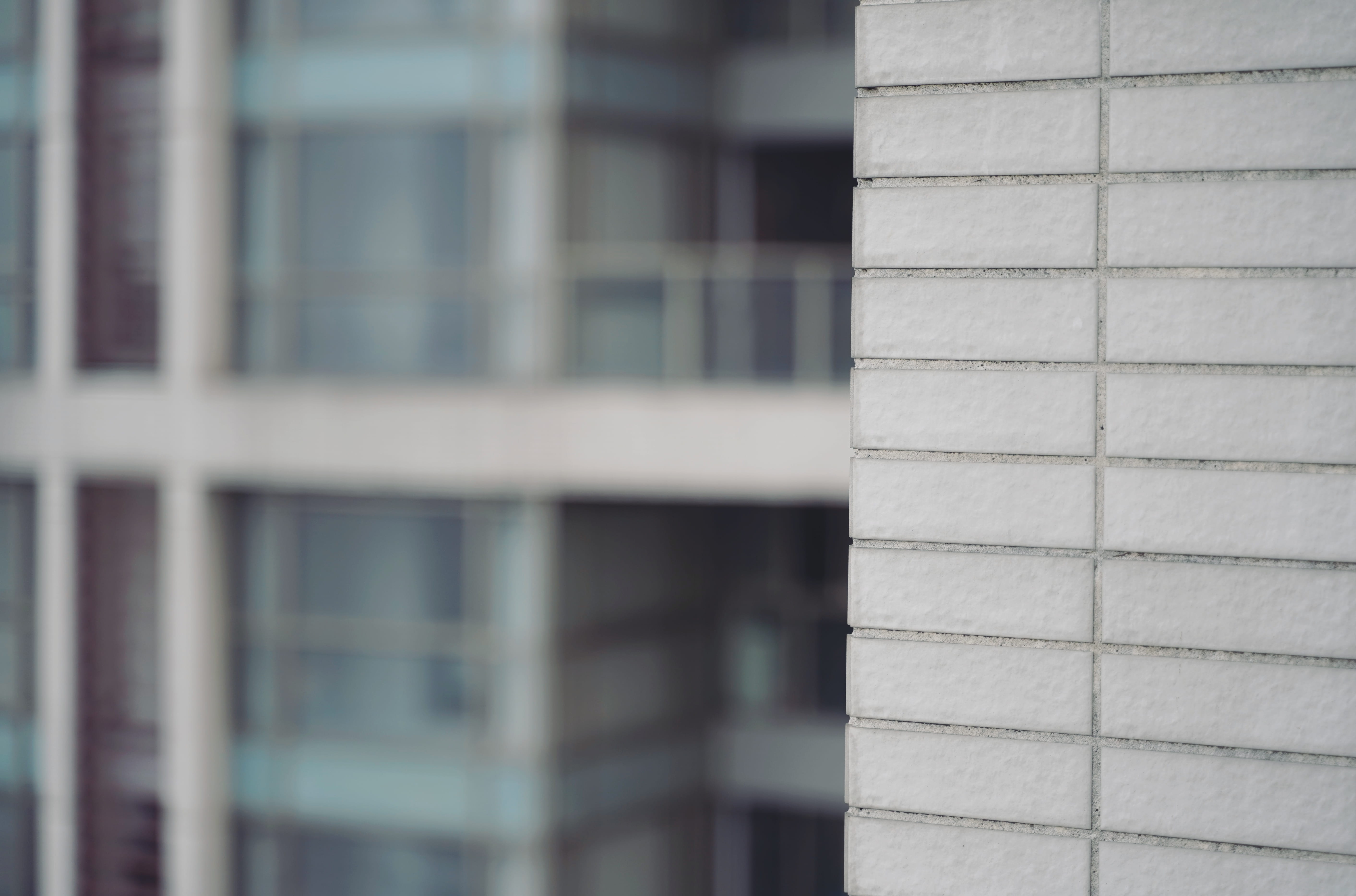 built structure, close-up, window, bee eater, outdoors, pattern, robin, building exterior, agelaius, full frame, city, textured, gray, cabinet, apparel, HD Wallpaper