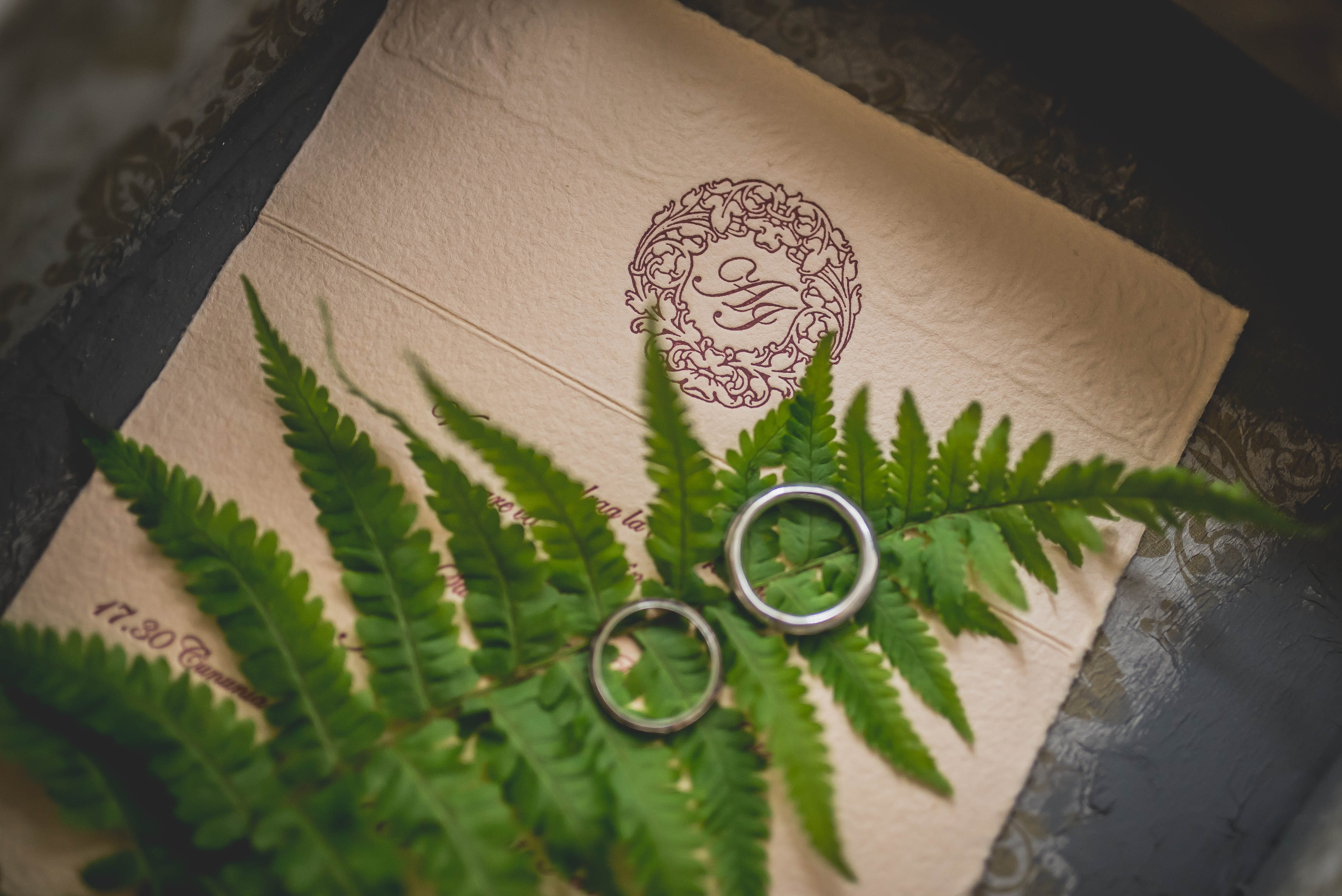 leaf, silver, still life, paper, apparel, pinnate, even, high angle view, embroidery, vegetation, reptile, rings, art and craft, indoors, applique, furniture, HD Wallpaper