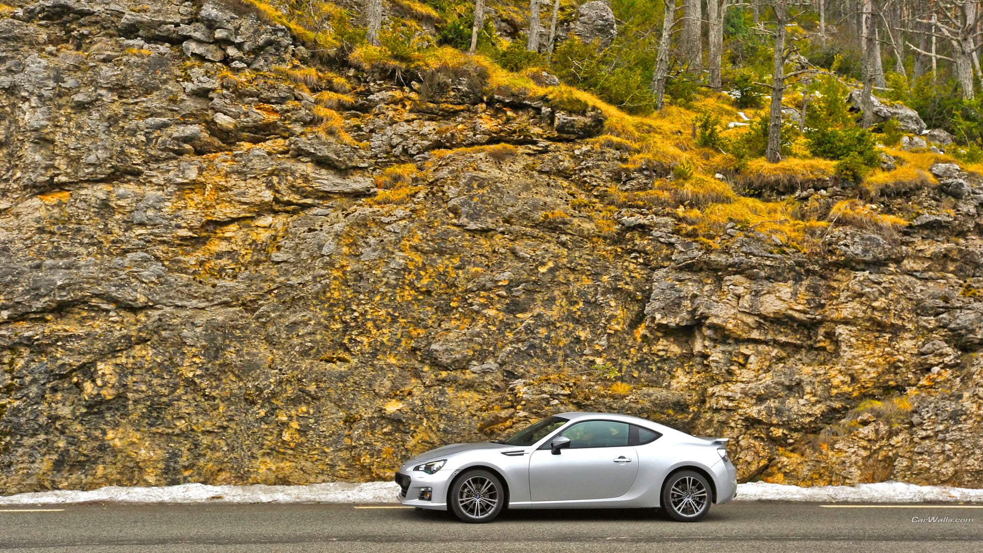 tree, rock - object, change, road trip, rock, silver, 1080P, land vehicle, plant, mode of transportation, beauty in nature, motor vehicle, travel, road, HD Wallpaper