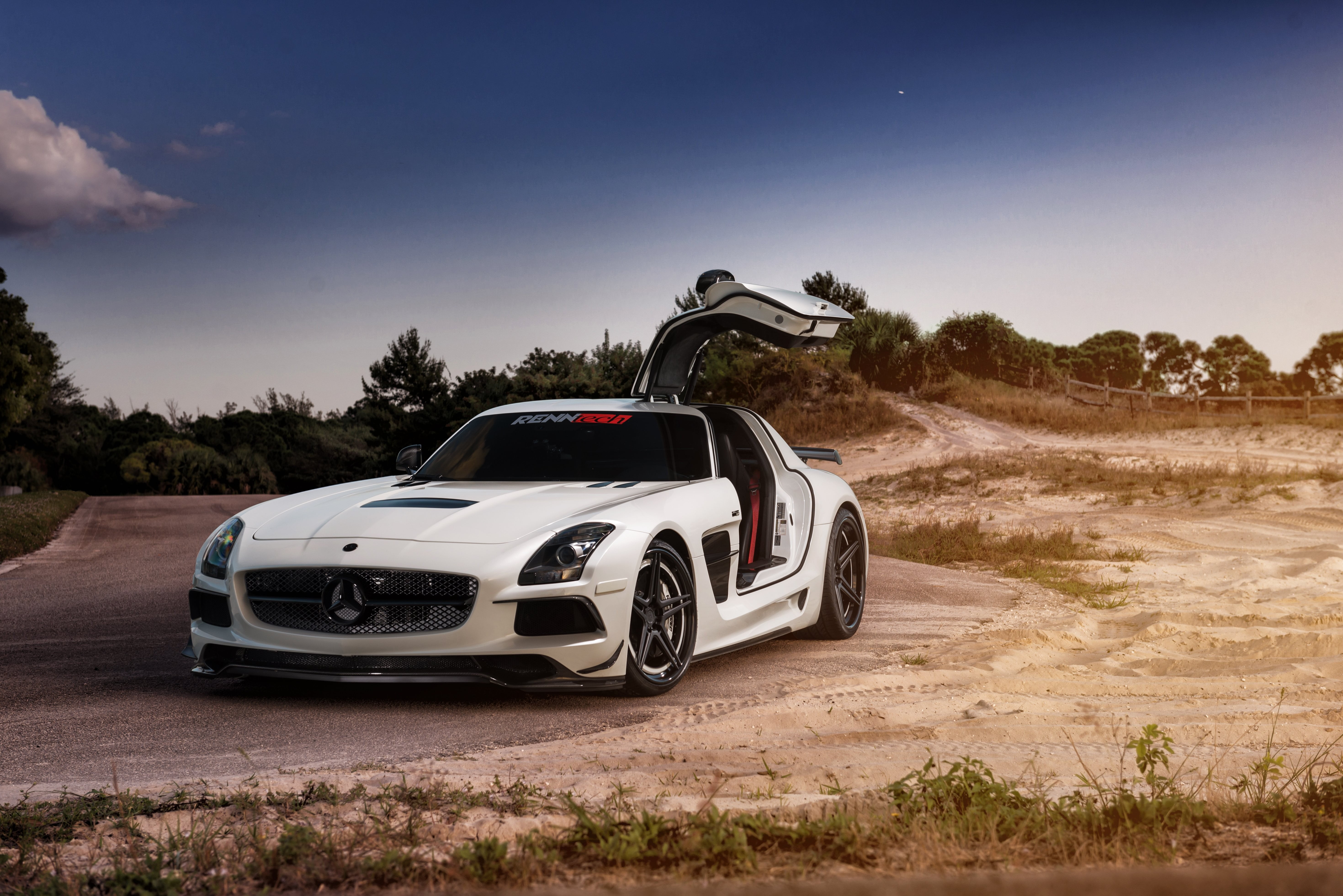 stationary, no people, day, travel, motor vehicle, field, mode of transportation, environment, tree, Mercedes-Benz SLS AMG, car, plant, sky, nature, land, HD Wallpaper