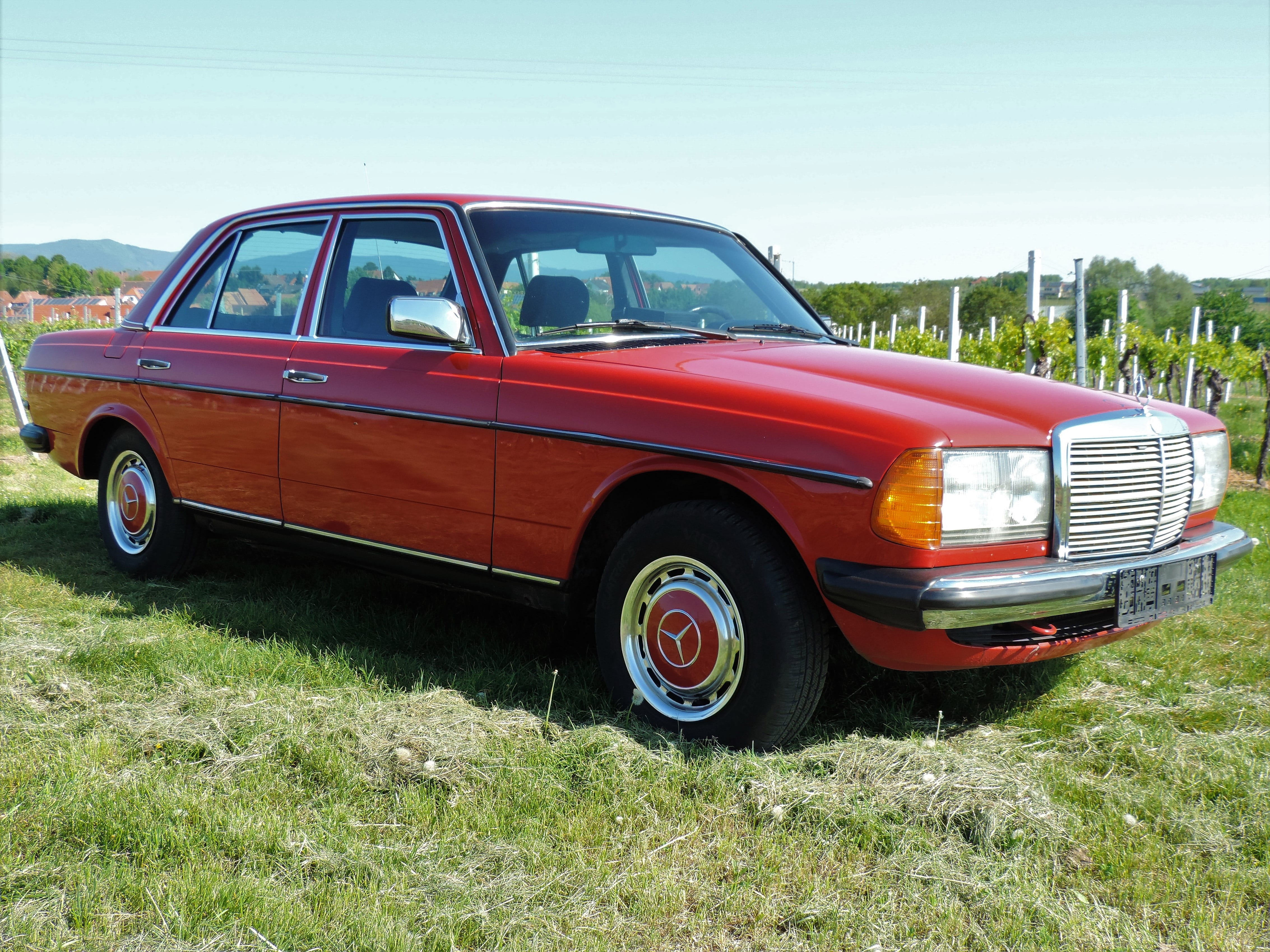 sunlight, mode of transportation, grass, land, plant, mercedes, dream car, oldie, retro styled, benz, field, oldtimer, e-class, motor vehicle, land vehicle, HD Wallpaper