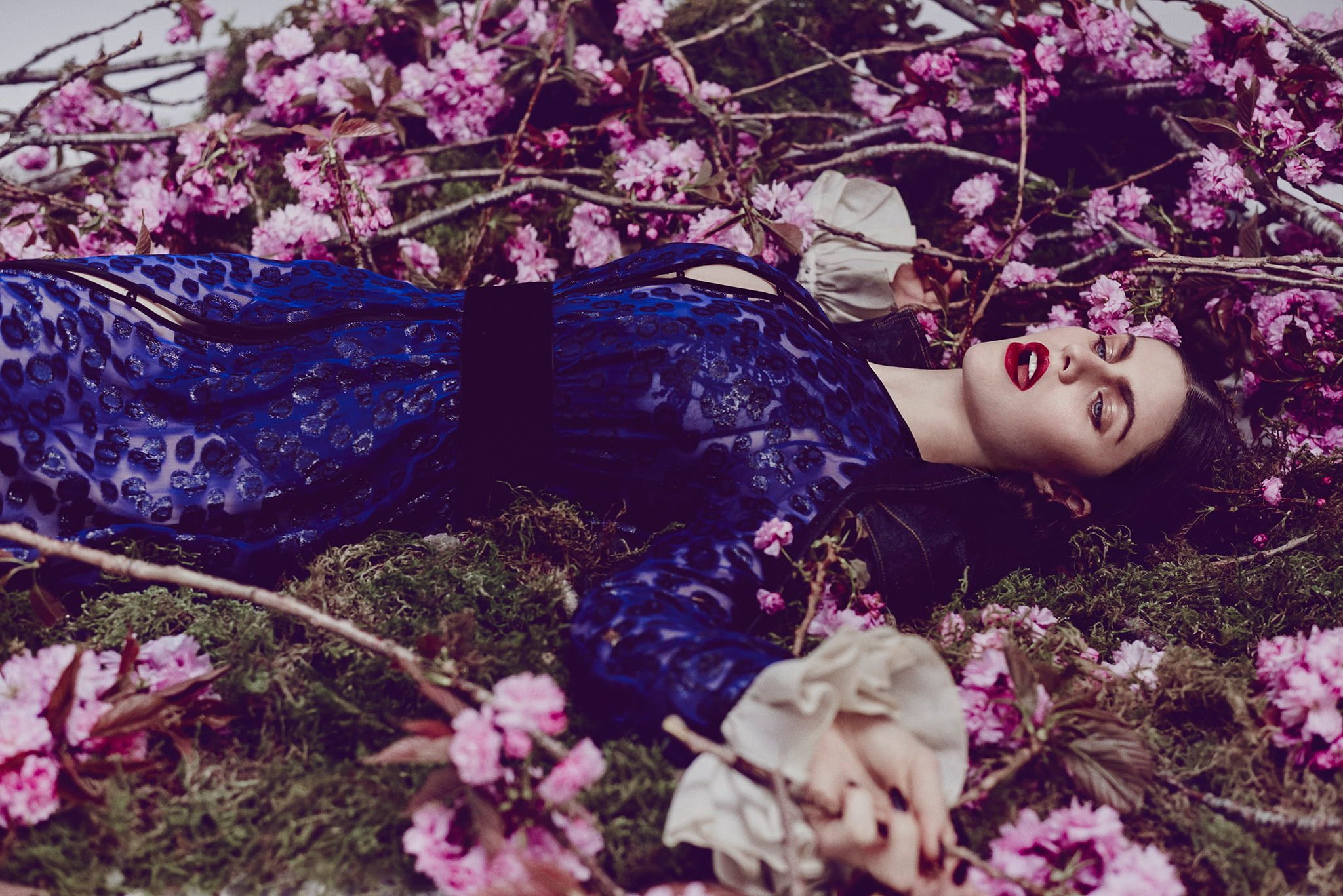 lifestyles, one person, relaxation, celebrities, flowering plant, women, girls, fragility, real people, alexandra daddario, lying down, young adult, tree, HD Wallpaper
