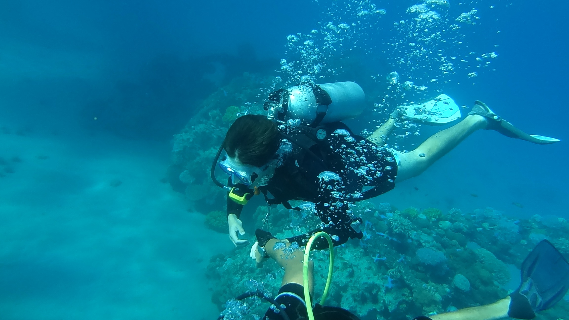 leisure activity, swimming, dive, mask, exploration, 1080P, scuba, diving, undersea, nature, blue, marine, lifestyles, eyewear, person, underwater diving, HD Wallpaper