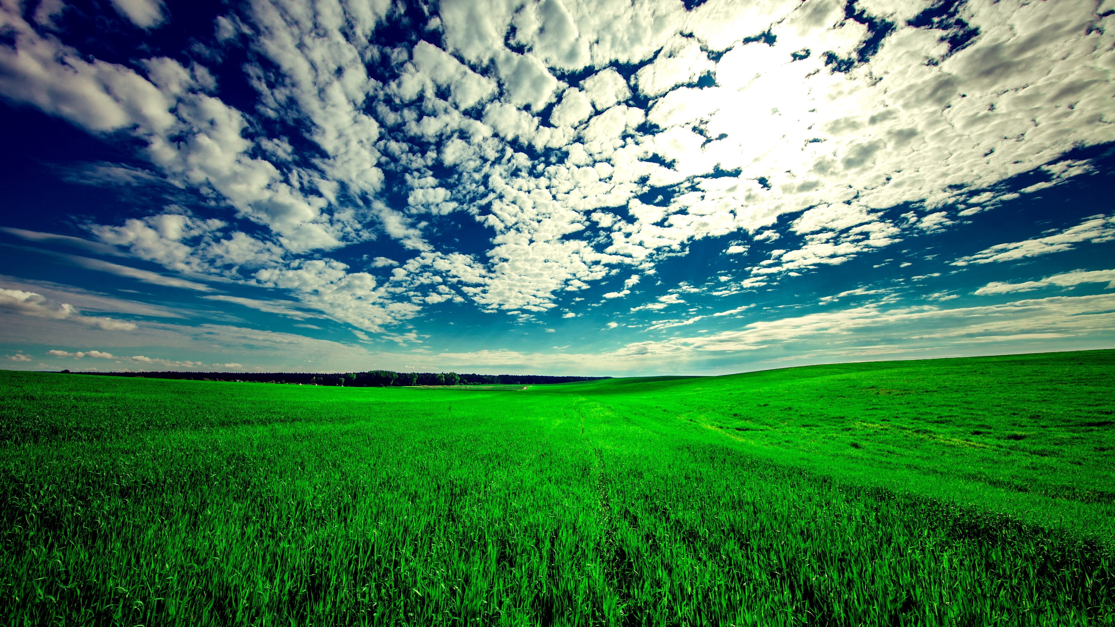 field, landscape, grassland, cloud, green, horizon, grass, nature, daytime, plain, 4K, green field, sky, HD Wallpaper