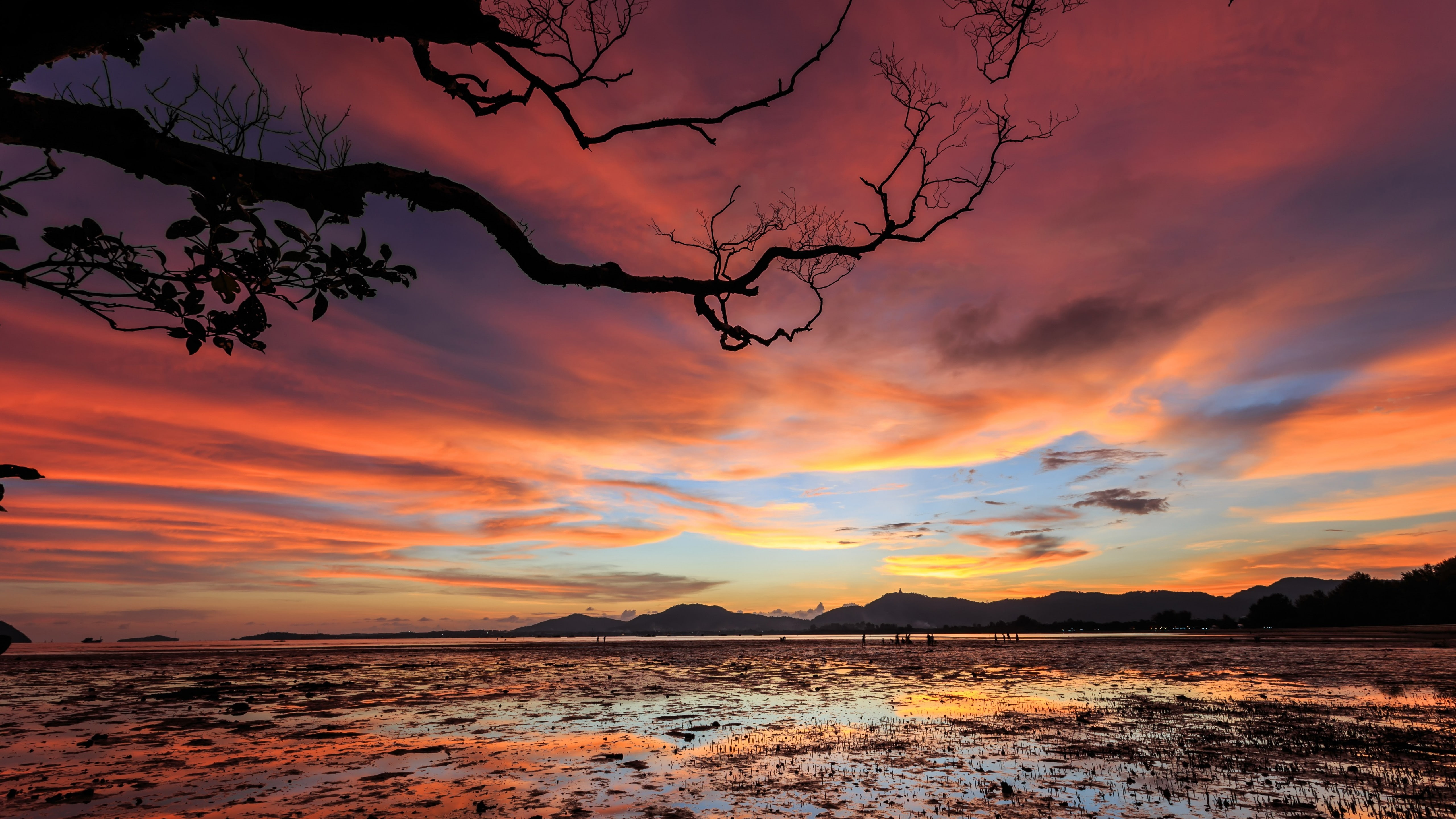 evening, reflection, branch, sunset, red sky, 5K, 5k, horizon, cloudy, 5k uhd, dusk, afterglow, HD Wallpaper