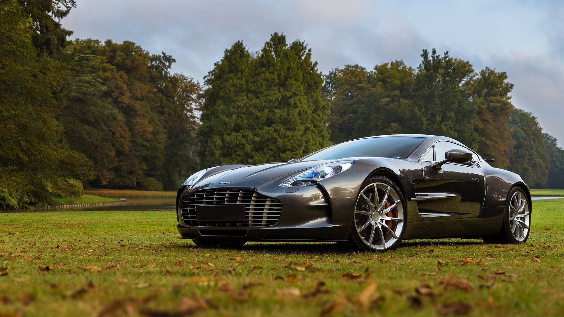 trees, grass, sports car, One-77, Aston Martin one-77, Aston Martin, leaves, vehicle, gray, fall, field, 1080P, car, coupe, HD Wallpaper