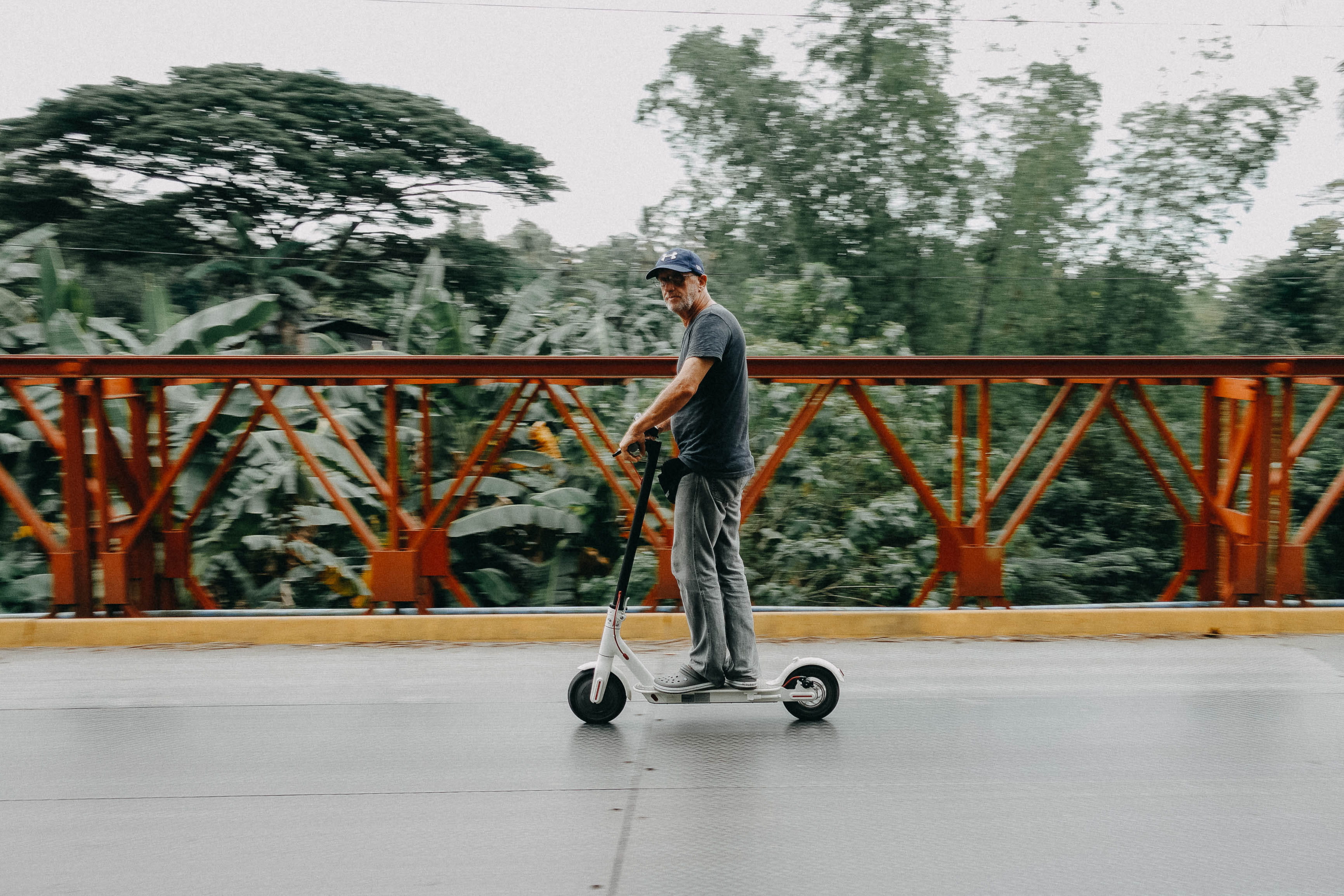 full length, road, standing, side view, travel, plant, vehicle, nature, riding, trees, motion, lifestyle, adult, wear, outdoors, 2K, recreation, bird, HD Wallpaper