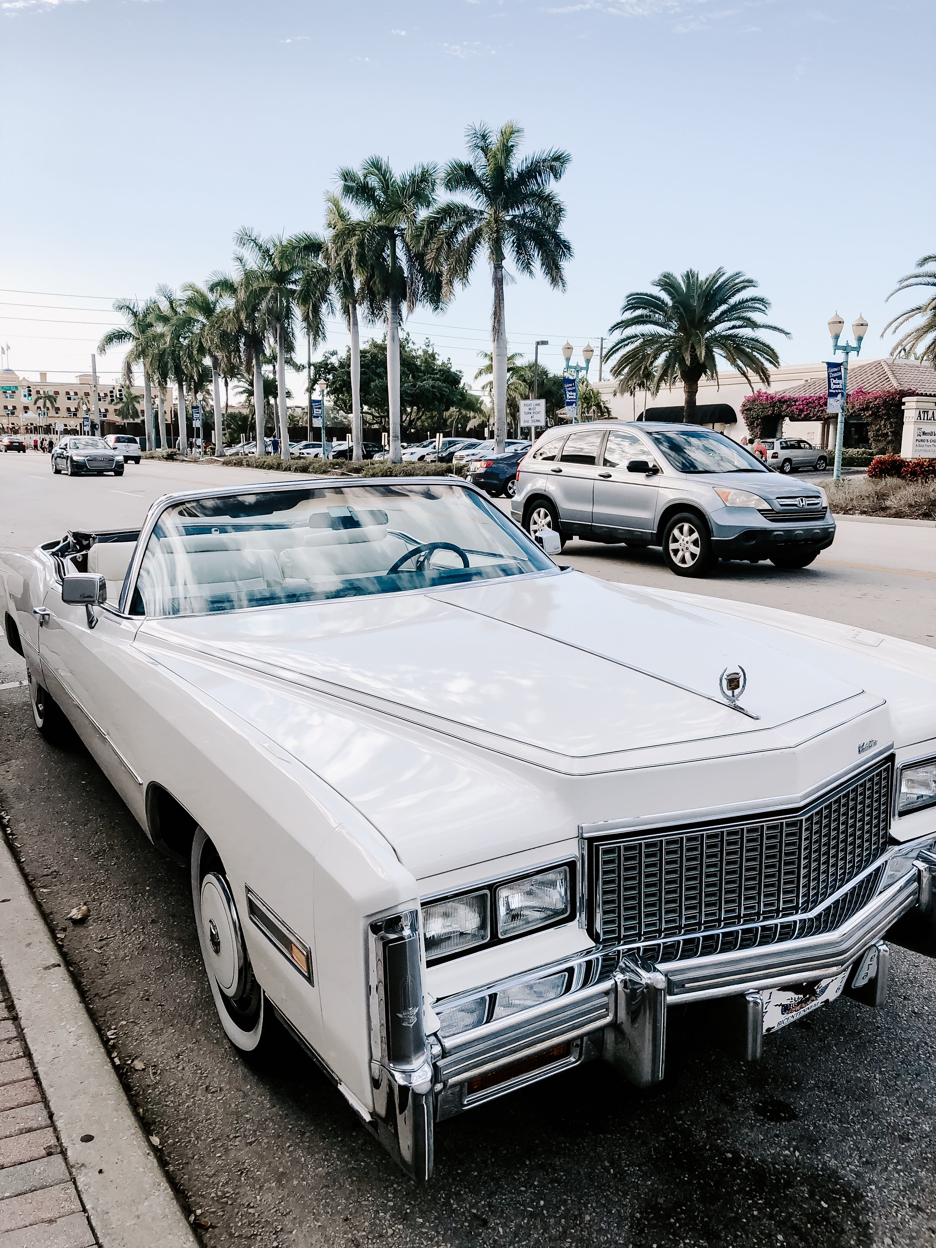 white, plant, classic car, tropical climate, vintage car, automobile, automotive, day, classic, summer, parked, street, land vehicle, road, tropical, tree, Phone HD Wallpaper