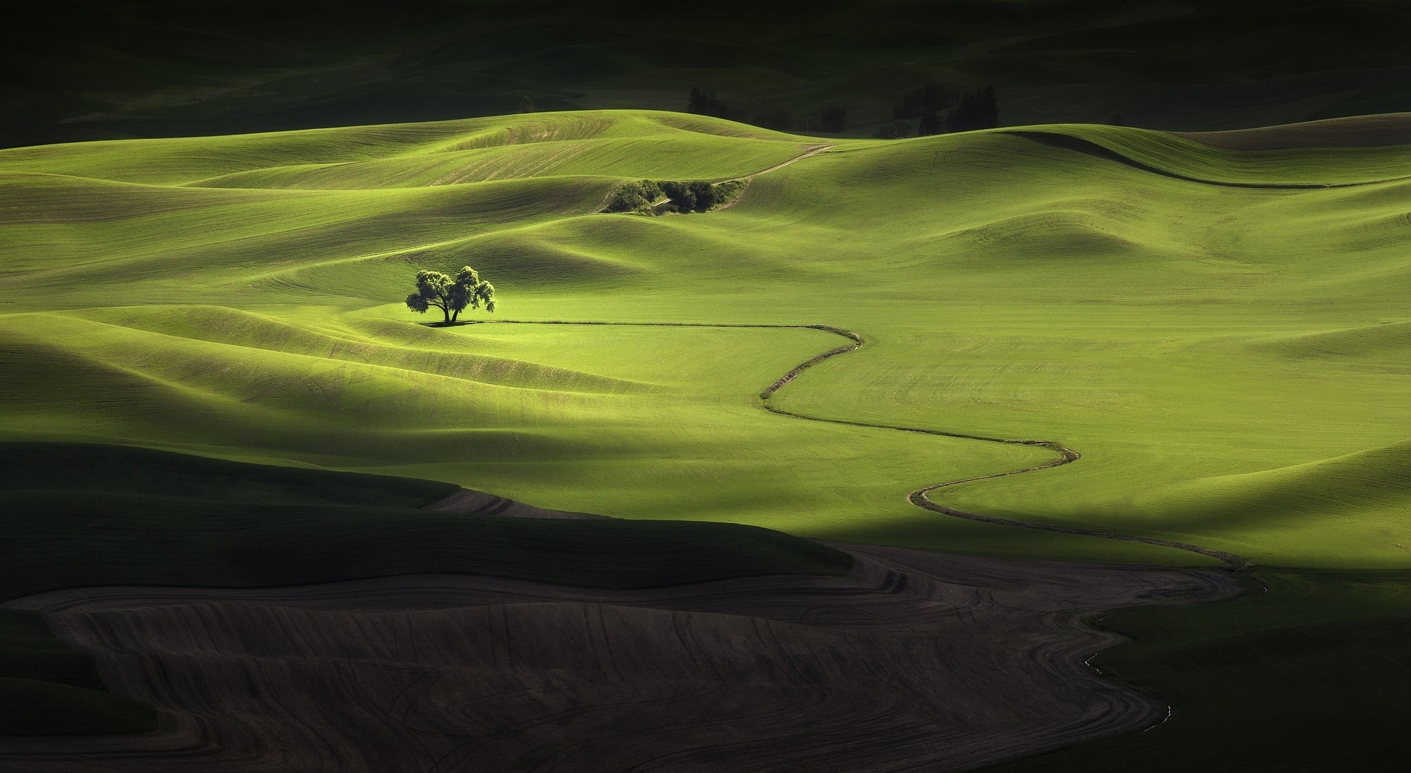 scenics - nature, nature, landscape, green, green color, land, field, environment, green - golf course, sport, sunlight, outdoors, 1080P, golf, rolling landscape, HD Wallpaper
