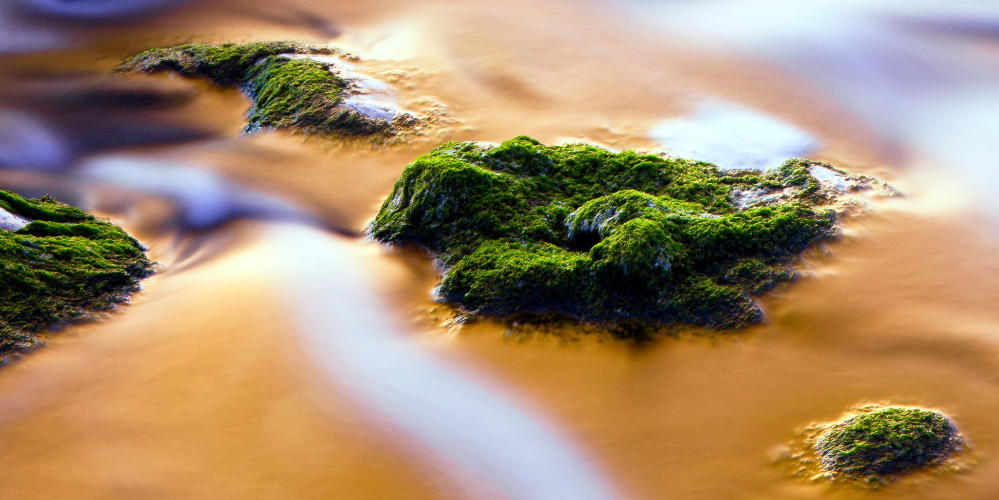 1080P, water, rock, moss, Chrome Cast, photography, nature, HD Wallpaper