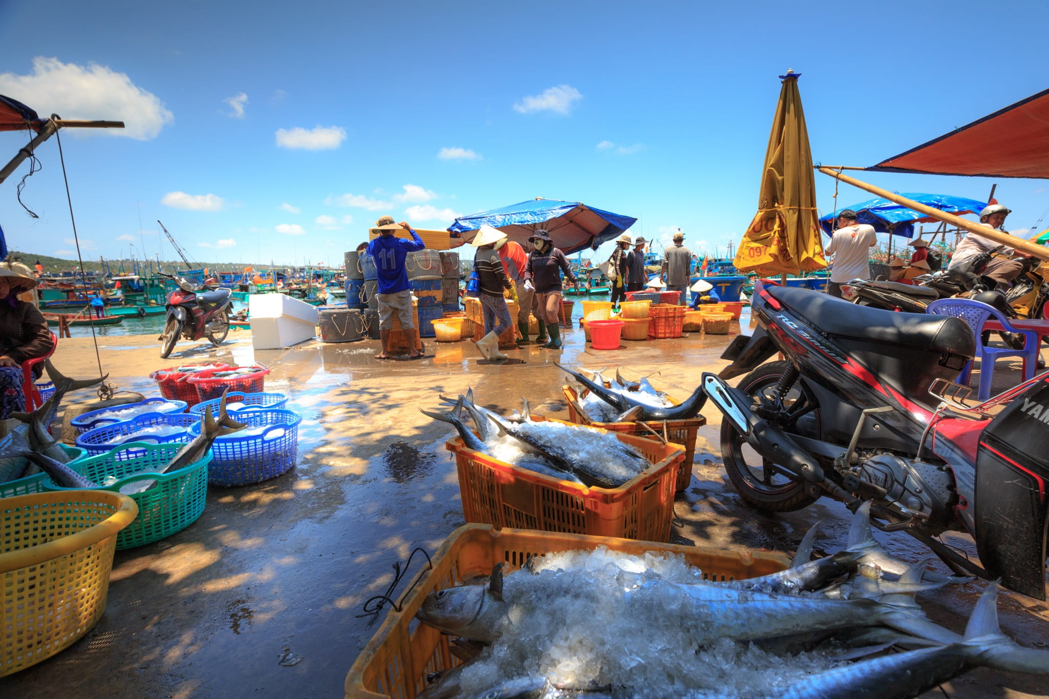 bustle, the work, fishing boat, business, phu quoc island, travel, sky, selective, harbor, marinate the fish, boisterous, nautical vessel, noisy, ice, no people, HD Wallpaper