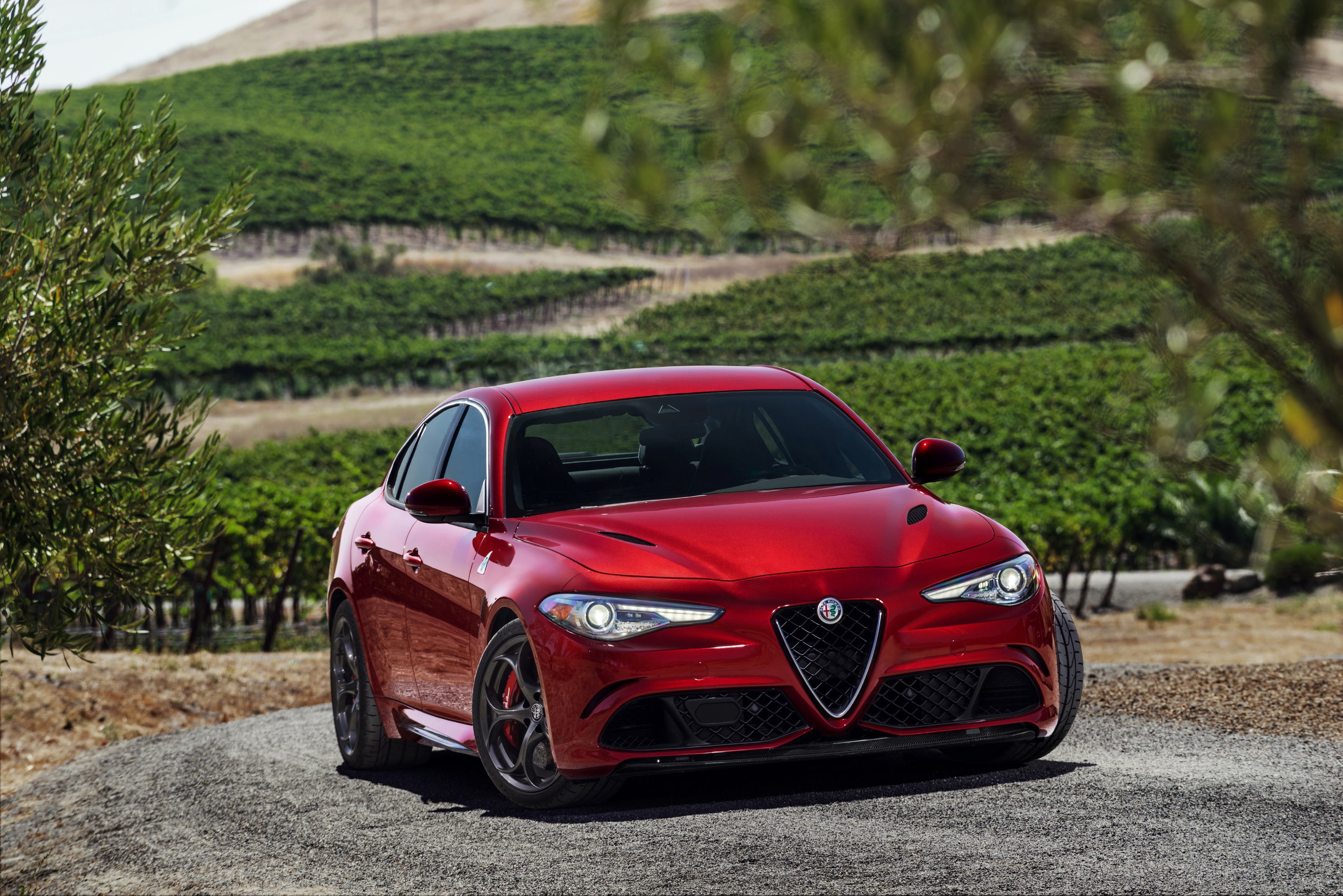 Julia, Giulia, Four-leaf clover, 2K, Alfa Romeo, HD Wallpaper