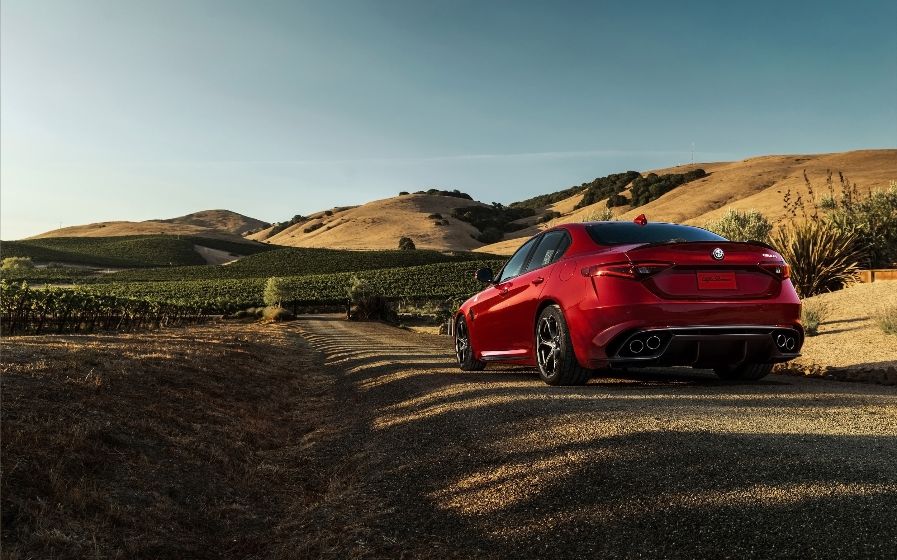 alfa, 2K, vehicle, quadrifoglio, car, 2017, sportscar, automobile, romeo, giulia, auto, HD Wallpaper