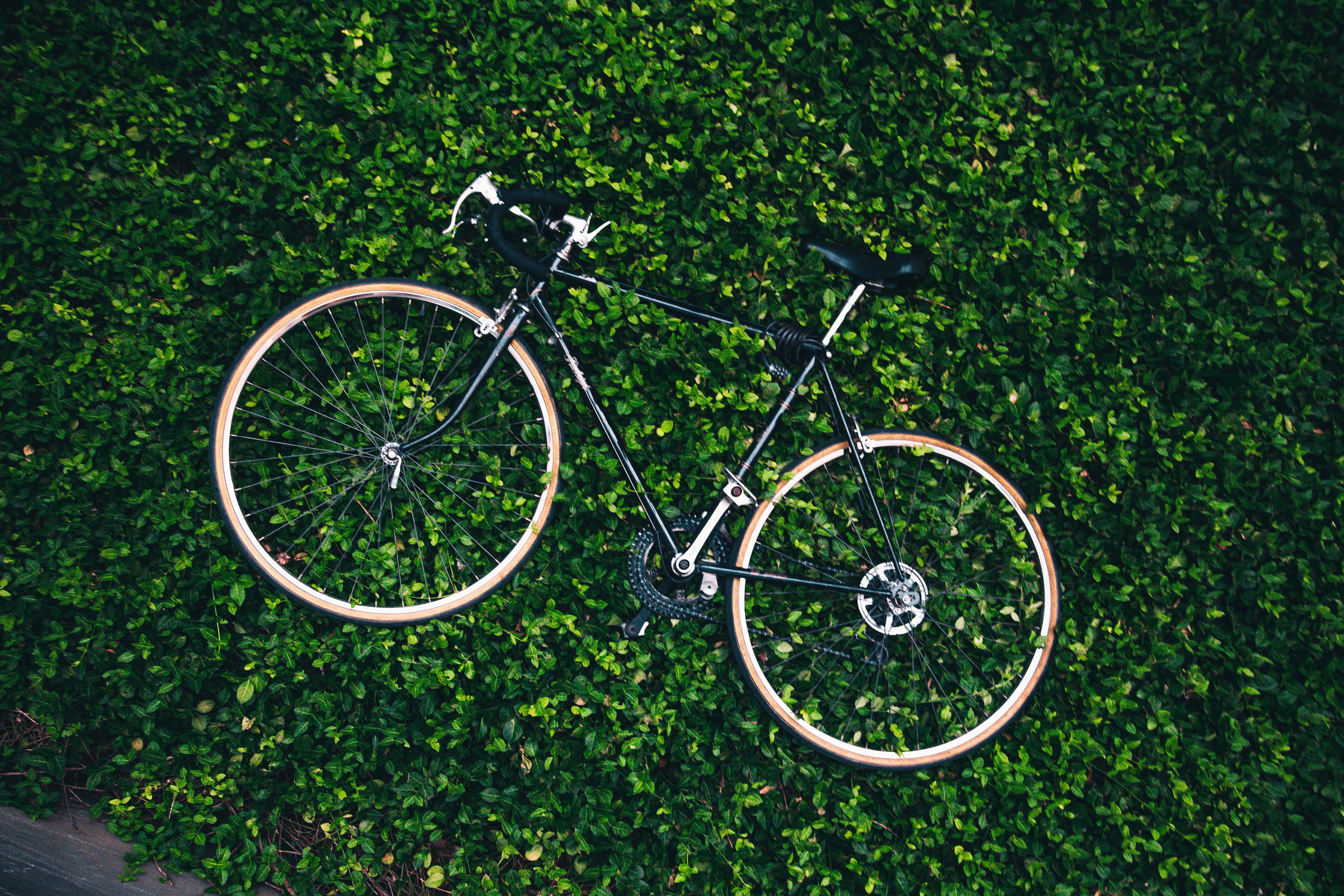 commuting, day, vehicle, green, metal, travel, sport, land vehicle, nature, farmland, park, ride, leaf, brakes, wheel, leisure, leaves, green color, chain, HD Wallpaper