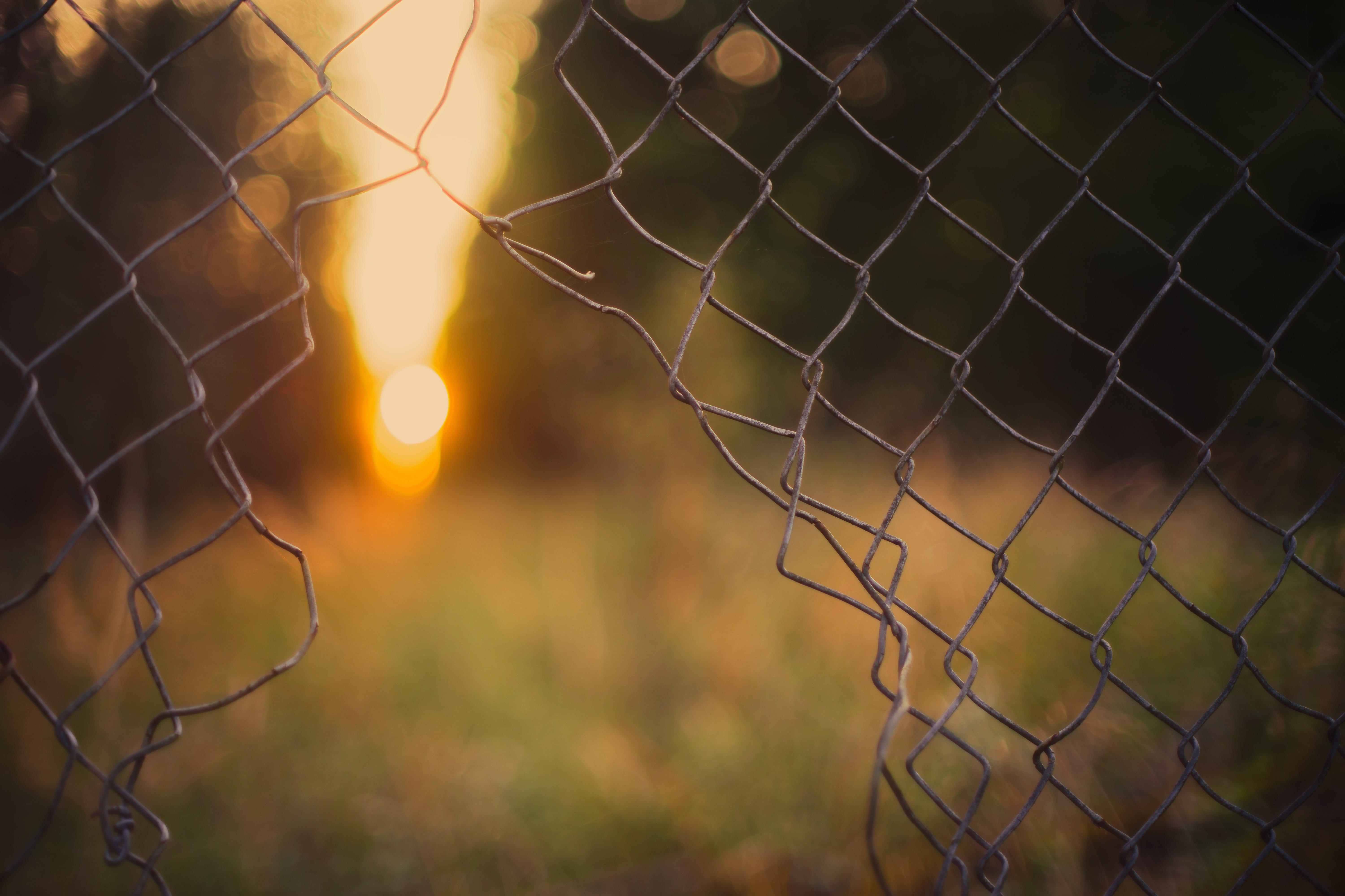 photo, boundary, fenced, wall, grid, wire mesh, outdoors, sport, wire mesh fence, iron, sunset, wire, chainlink fence, grass, barrier, demarcation, pattern, HD Wallpaper