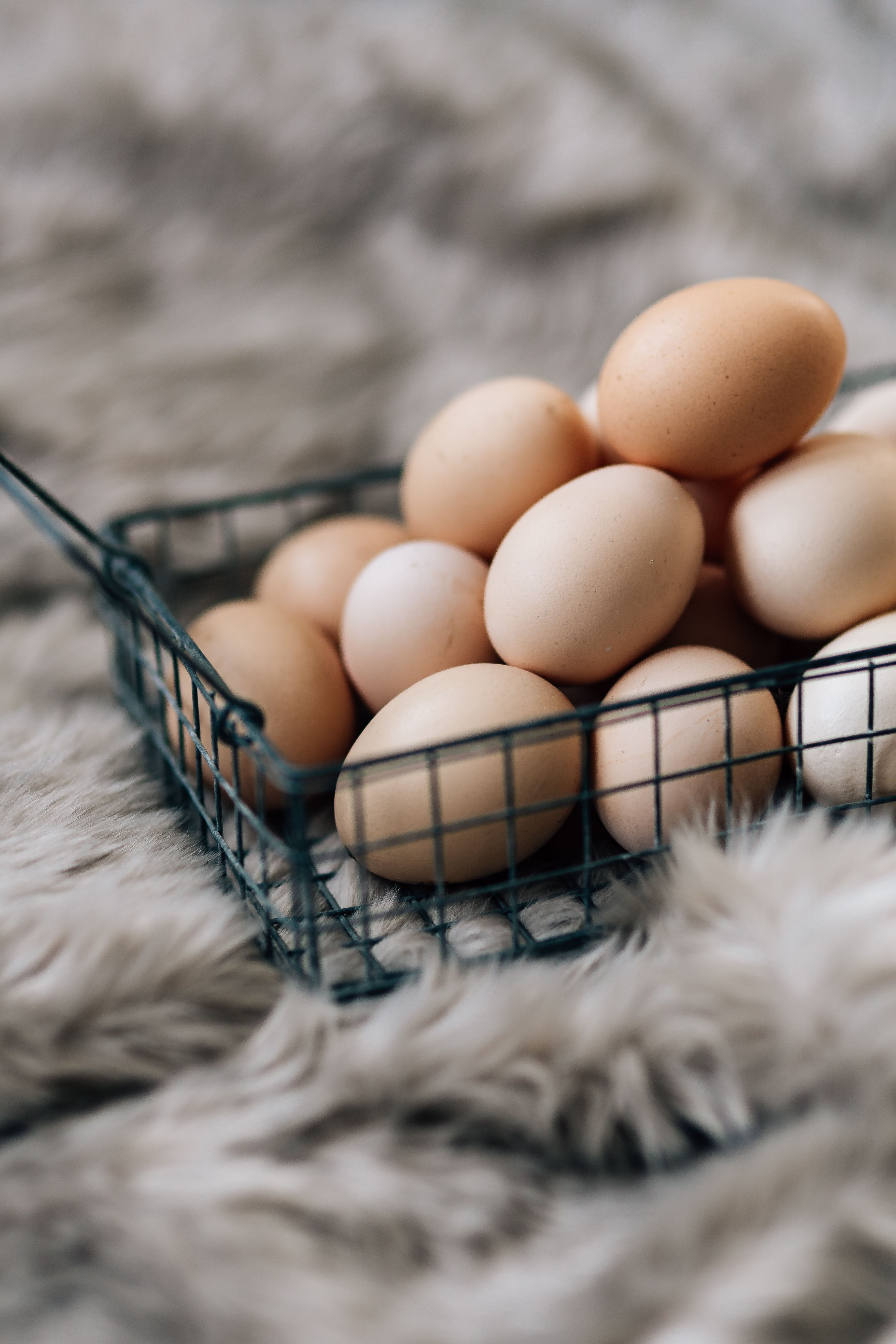 raw Food, close-up, animal Egg, Wire mesh, brown, protein, natural, selective focus, healthy, 5K, vulnerability, still life, food, animal, wellbeing, mesh, Phone HD Wallpaper