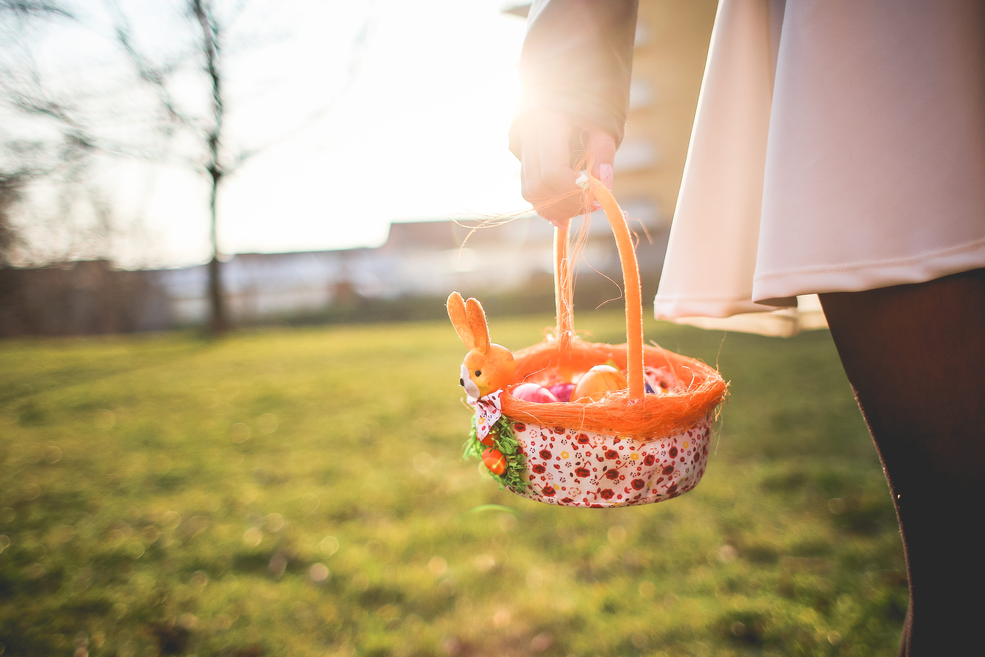 healthy eating, traditional, day, lifestyles, eggs, food, fruit, tradition, real people, easter, females, child, Basket, wellbeing, nature, 4K, outdoors, HD Wallpaper
