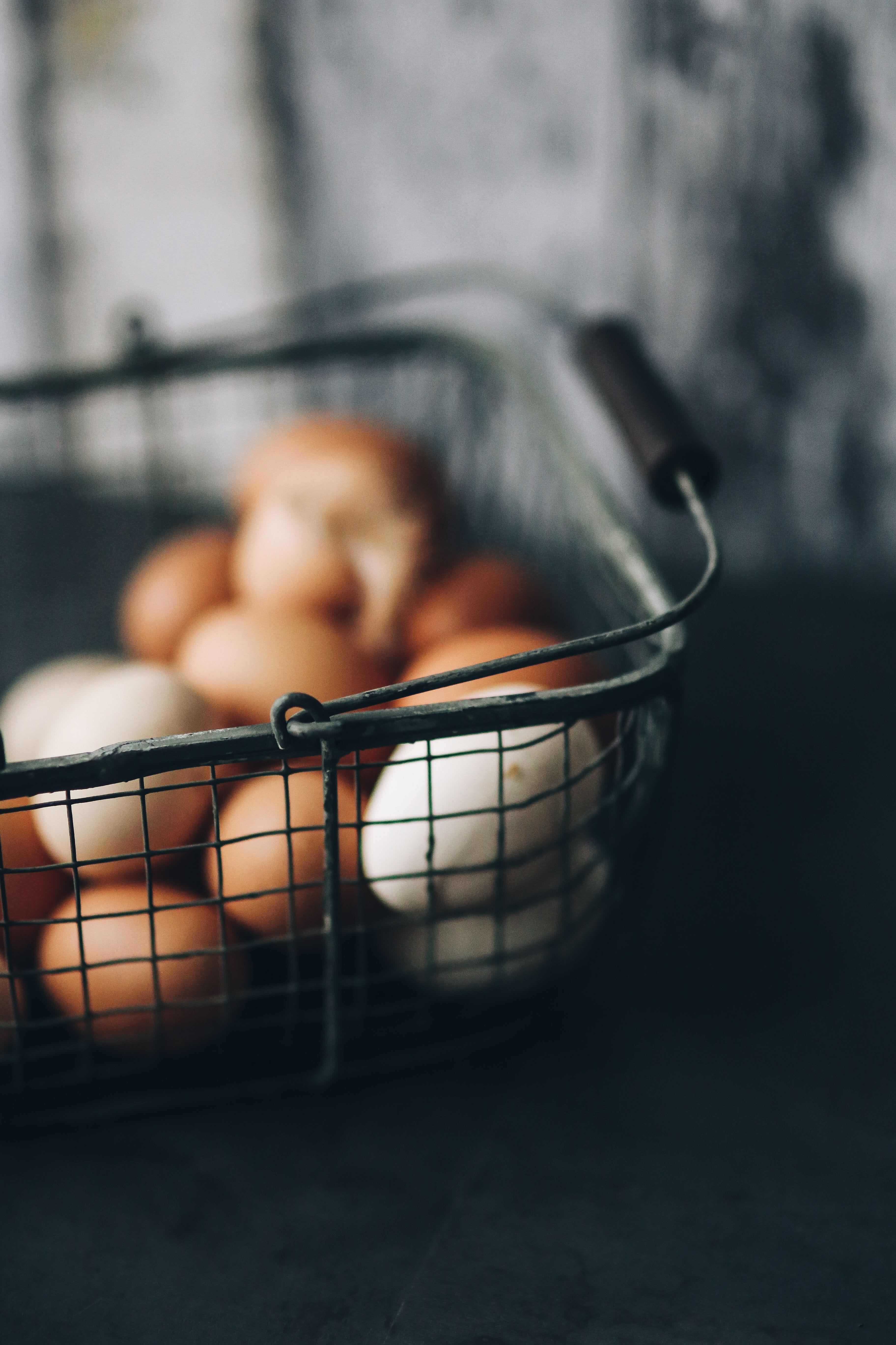 pets, real people, one animal, wire, selective focus, metal, one person, eggs, domestic, animal themes, food and drink, domestic animals, shopping cart, Phone HD Wallpaper