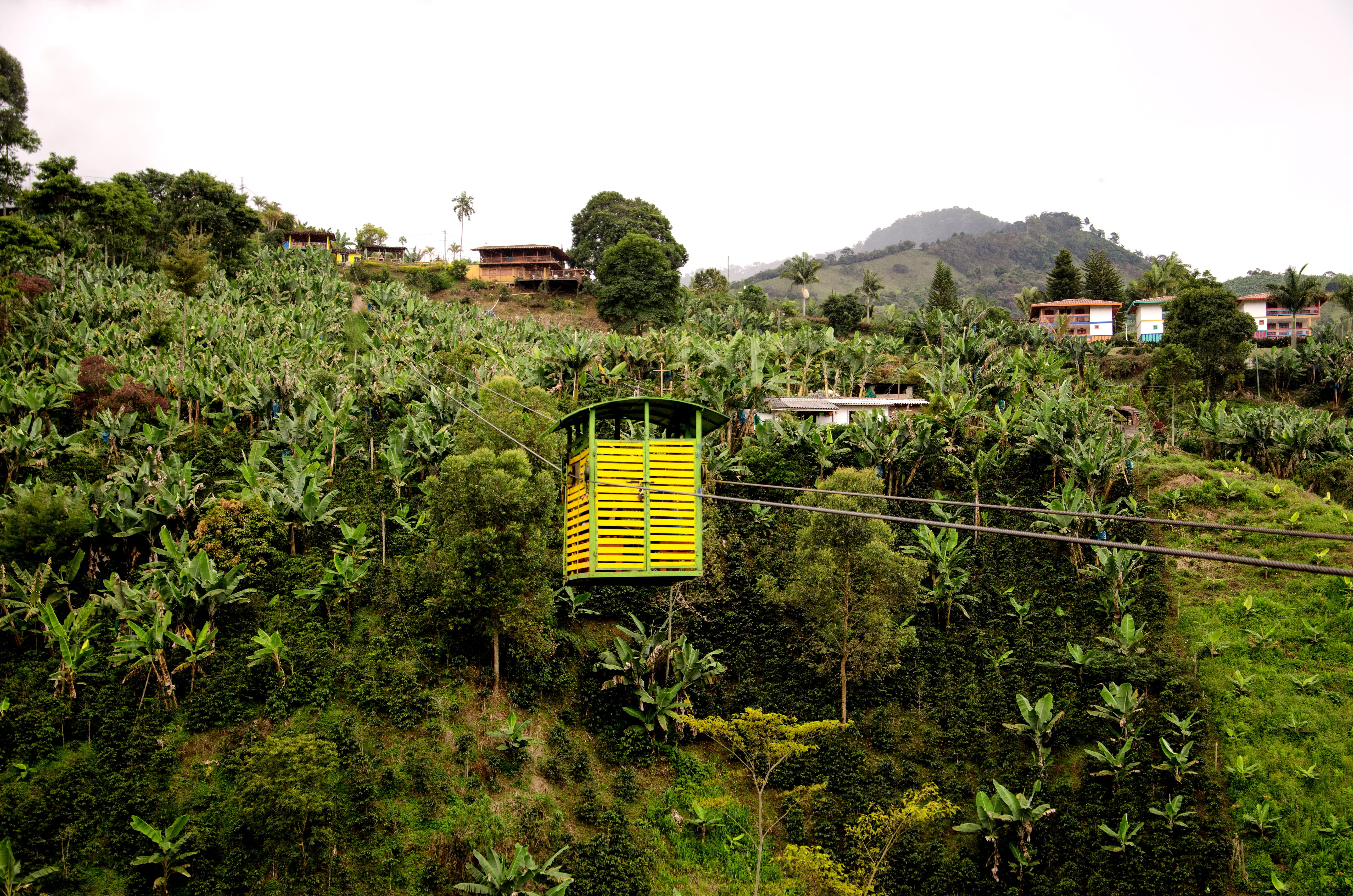 day, green color, finca, 4K, rural scene, Colombia, clear sky, Jardin, plant, cable car, banana tree, growth, Coffee, architecture, antioquia, garrucha, HD Wallpaper
