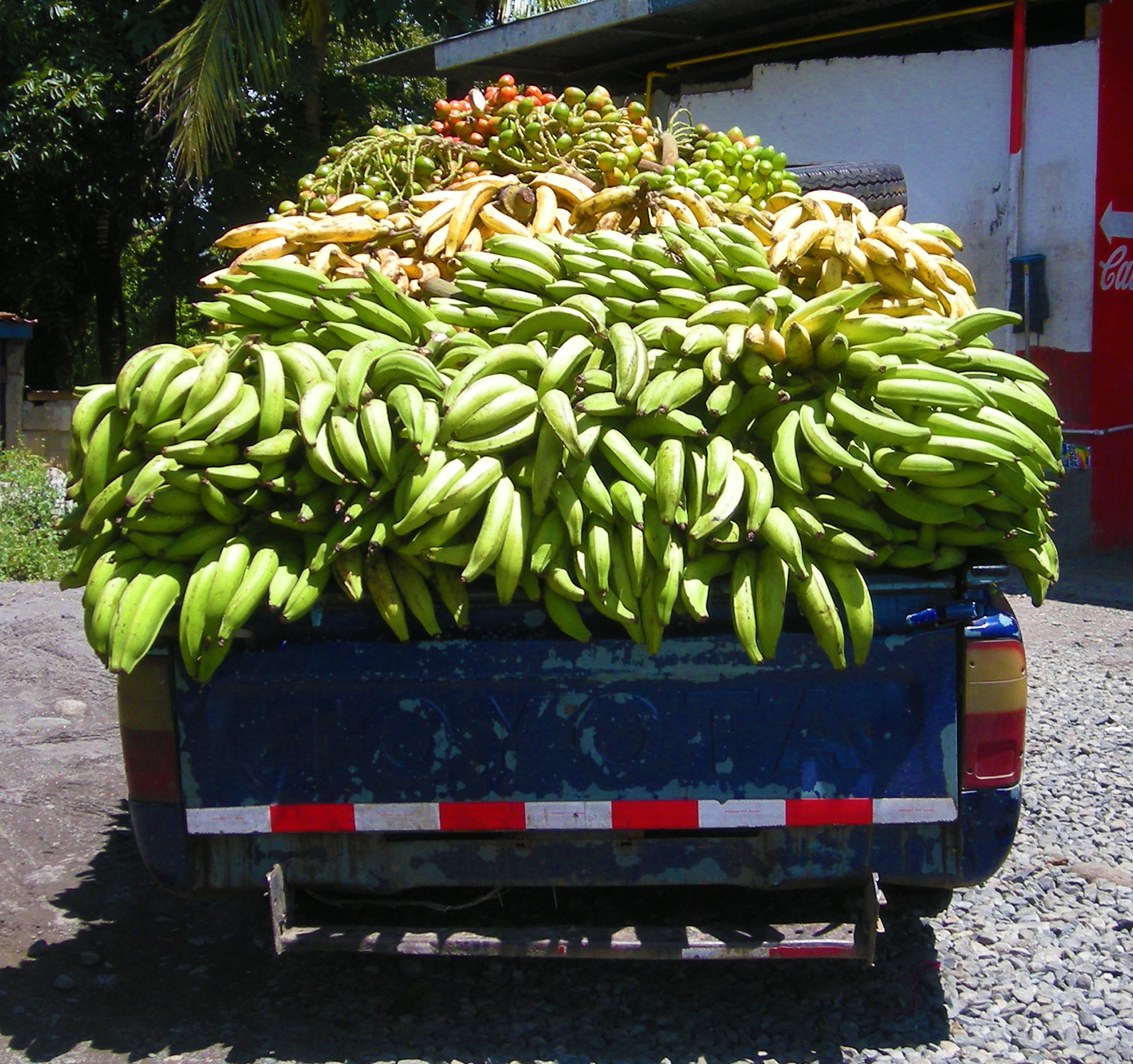 food and drink, bananas, large group of objects, no people, abundance, toyota, retail, raw food, healthy eating, market, small business, freshness, business, HD Wallpaper