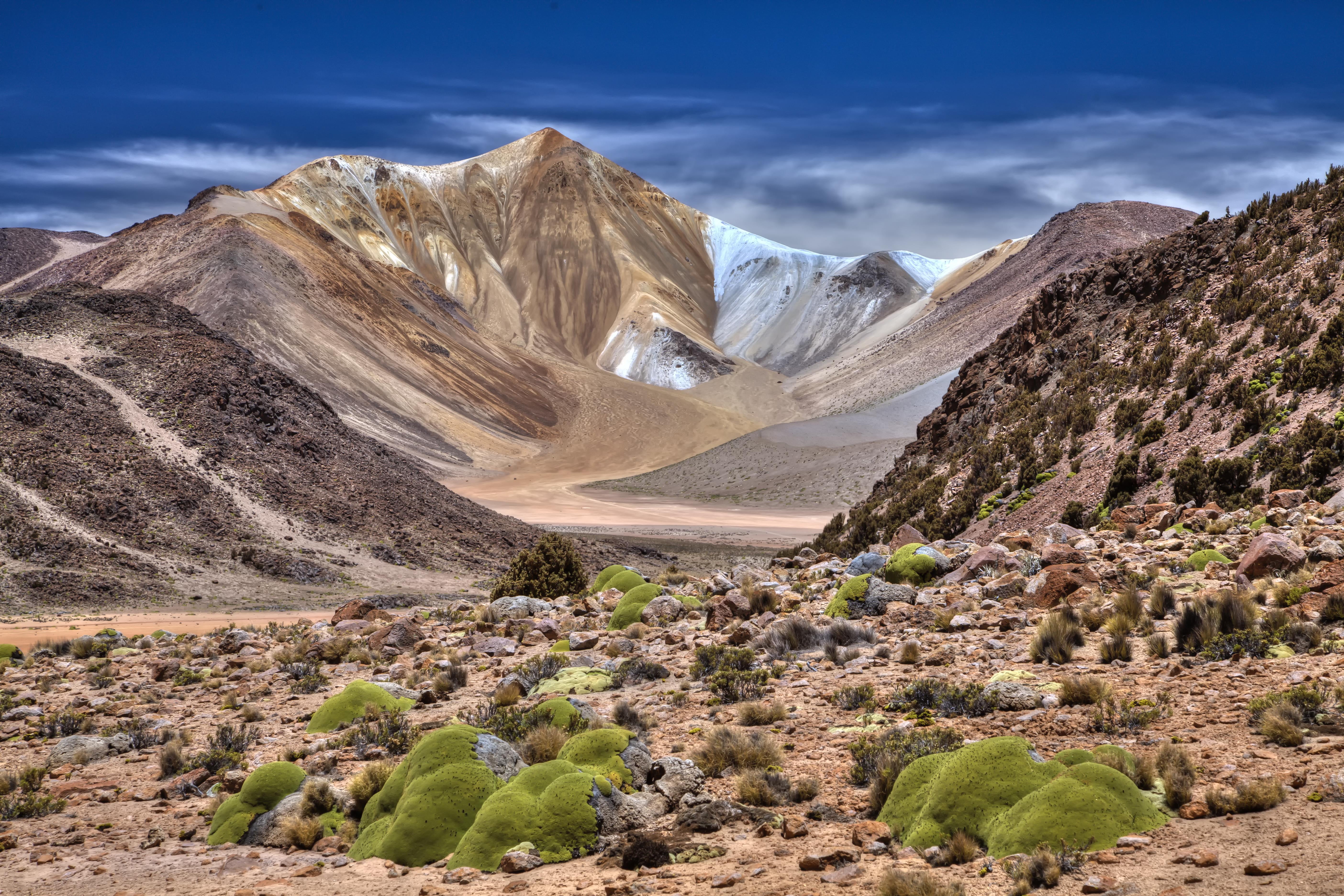 travel, wilderness, natur, nature, green leaves, suri, sky, clear, outdoors, near, Andes, putre, Surreal, plant, scenics, scenic, plaza, Arica, chile, altiplano, HD Wallpaper