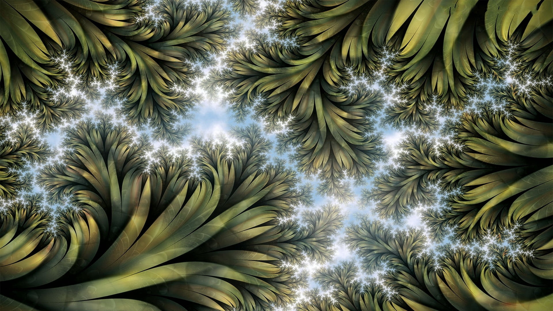 tropical Rainforest, abstract, low angle view, pattern, form, tropical Climate, backgrounds, large group of objects, fruit, leafed, day, light, HD Wallpaper