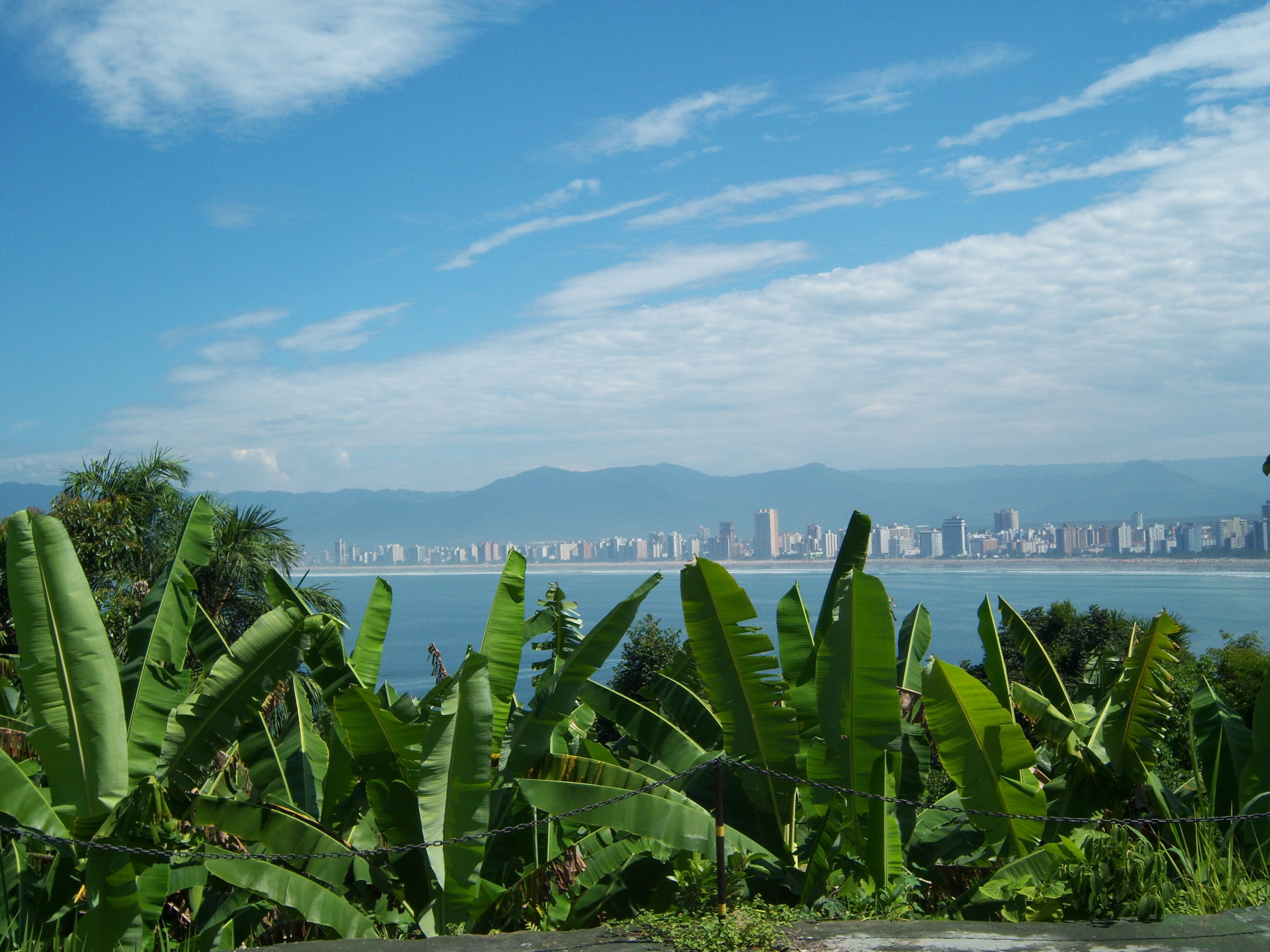 2K, architecture, blue sky, building exterior, atlantic forest, outdoors, growth, water, sky, built structure, cloud - sky, Banana Tree, tranquil scene, HD Wallpaper