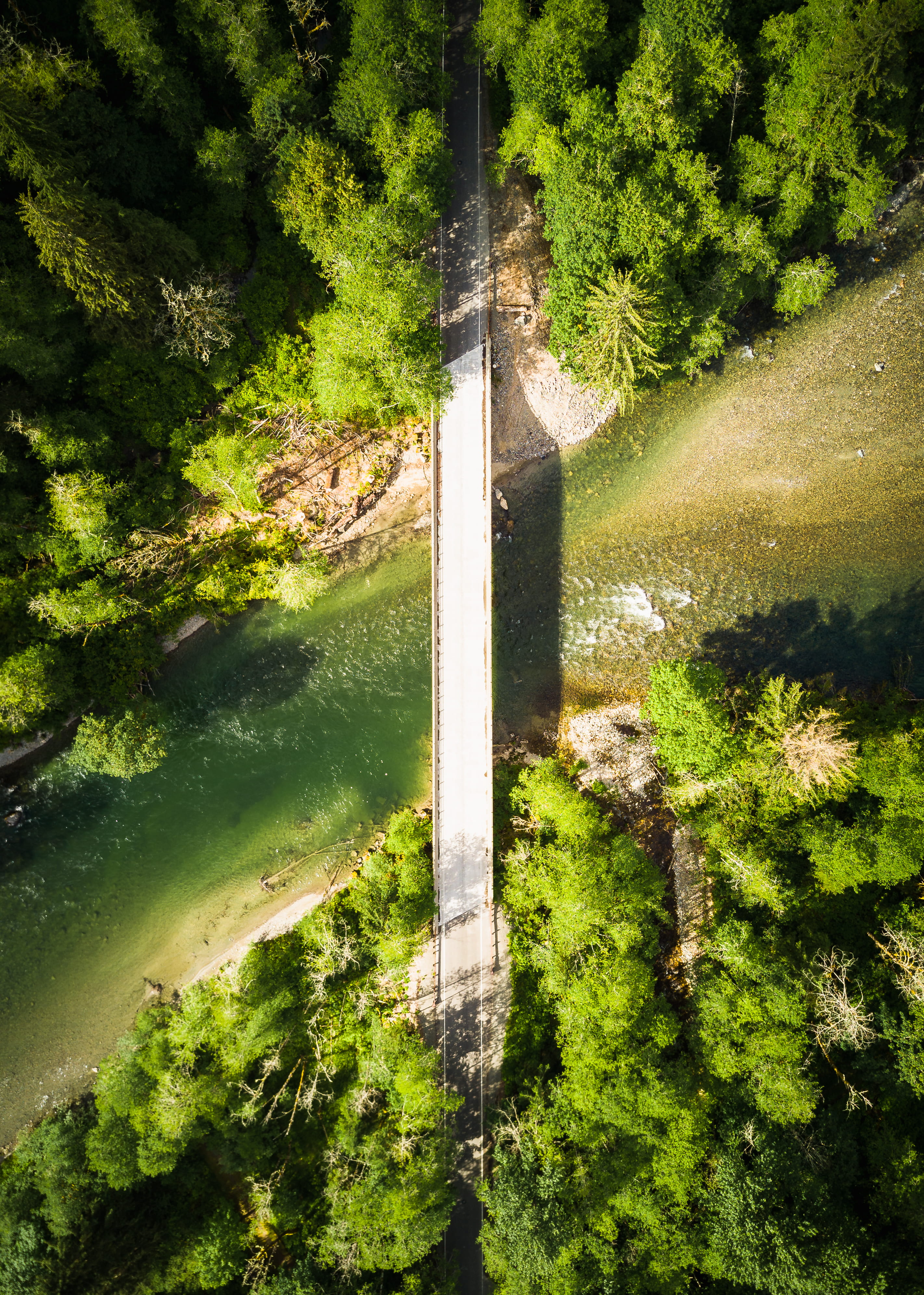 cross, no people, photo, beauty in nature, 4K, grass, bright, green color, bird, forest, top down, pacific northwest, plant, drone view, nature, concrete, Phone HD Wallpaper