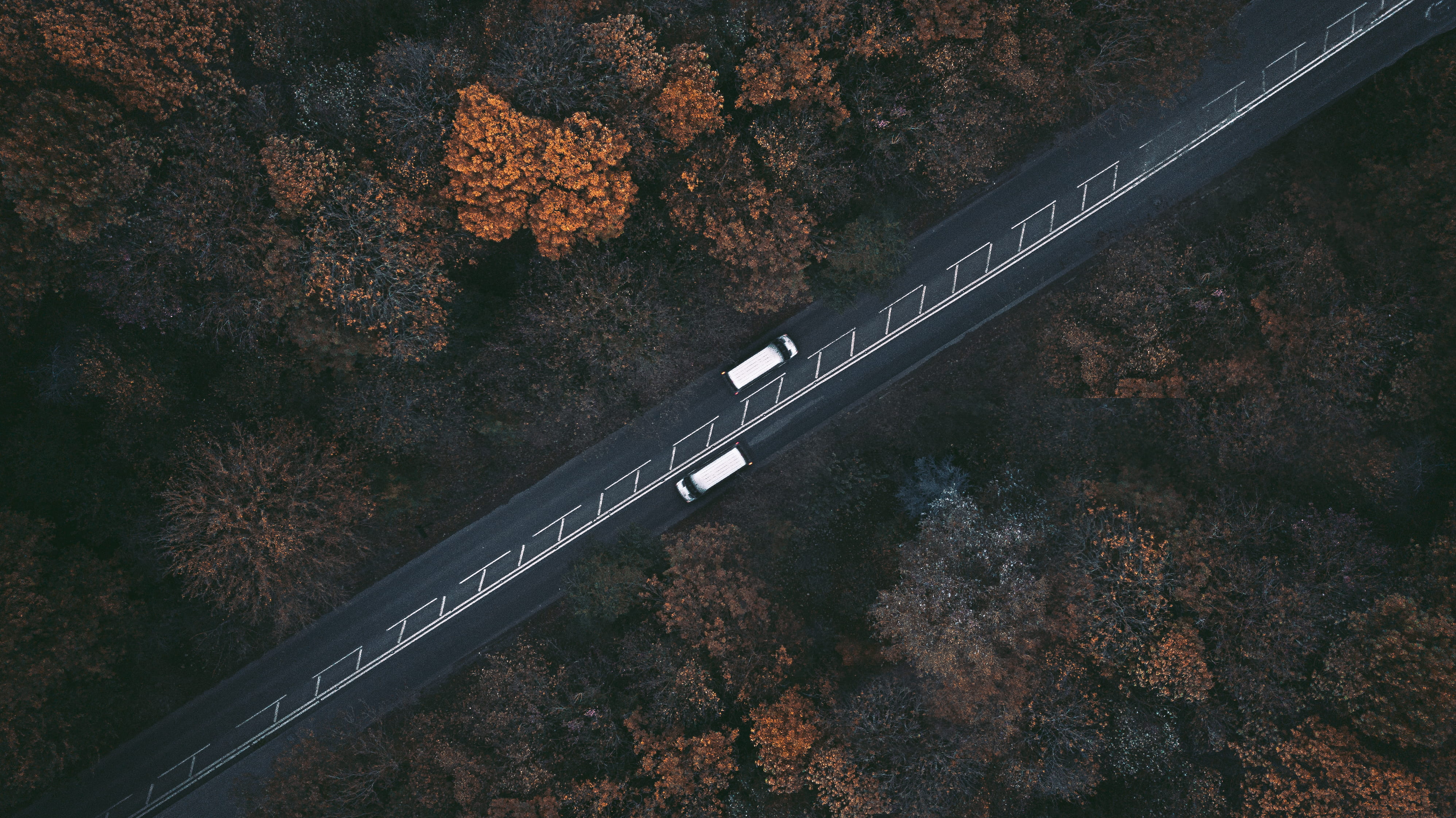 road, outdoors, nature, vehicle, beauty in nature, bridge - man made structure, forest, day, street, plant, leafe, bridge, transportation, HD Wallpaper