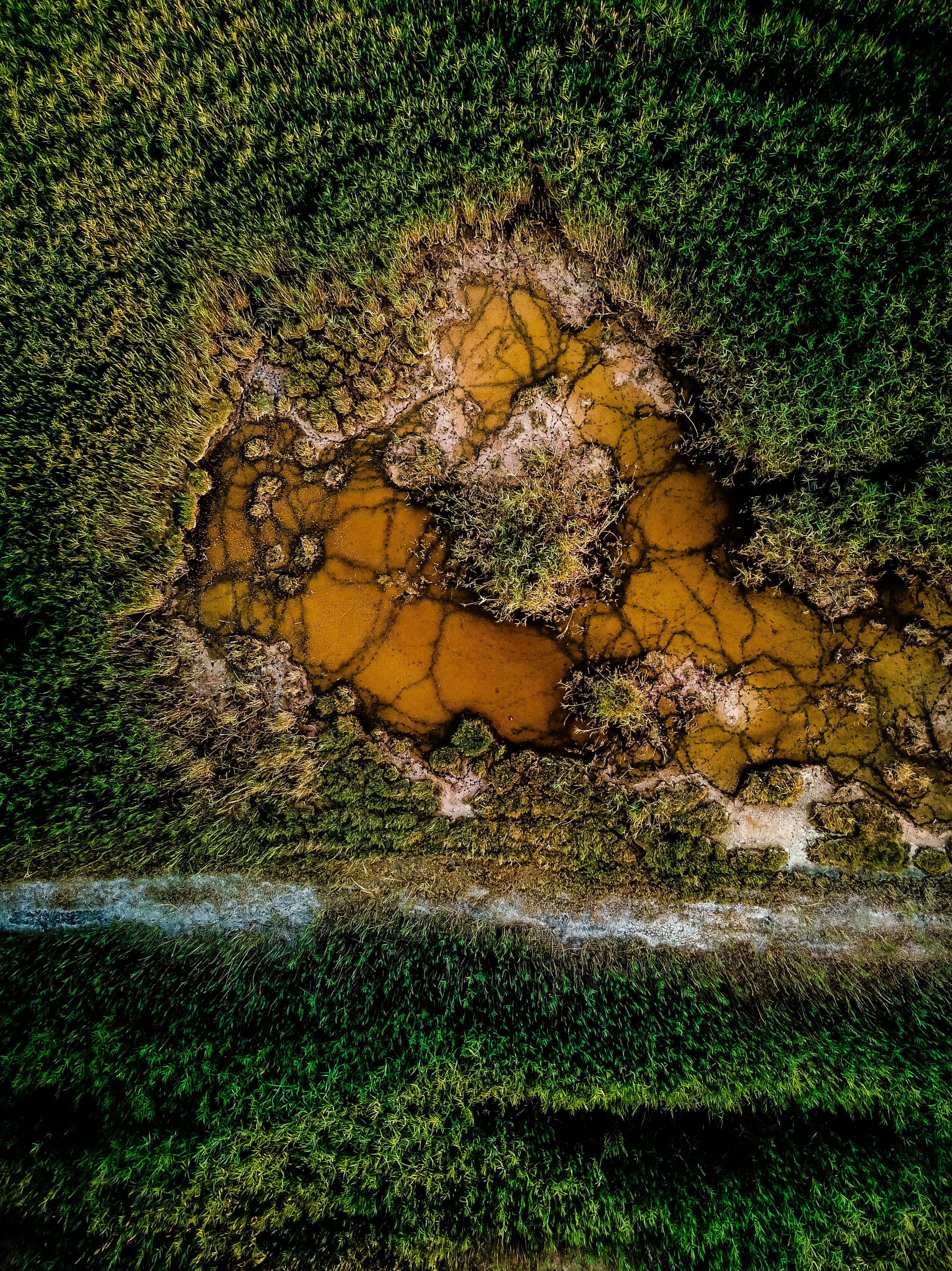 utah, path, drone, cracked, mud, woodland, backgrounds, outdoors, great salt lake, moss, brown, summer, lake, eye, water, nature, bird, looking down, forest, Phone HD Wallpaper