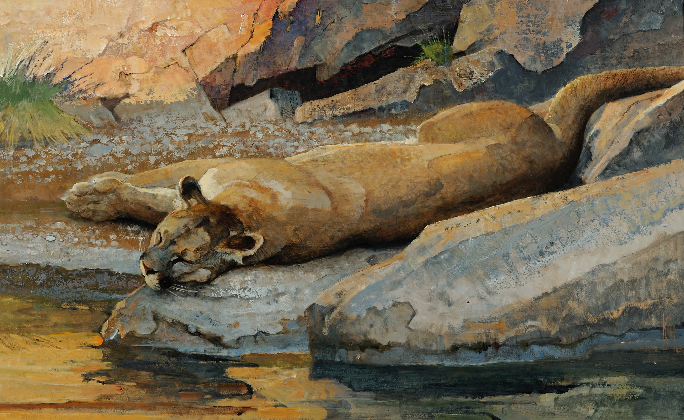 predator, rock formation, lioness, nature, water, rock - object, boulders, animals in the wild, art and craft, stream, lies, outdoors, no people, relaxation, HD Wallpaper