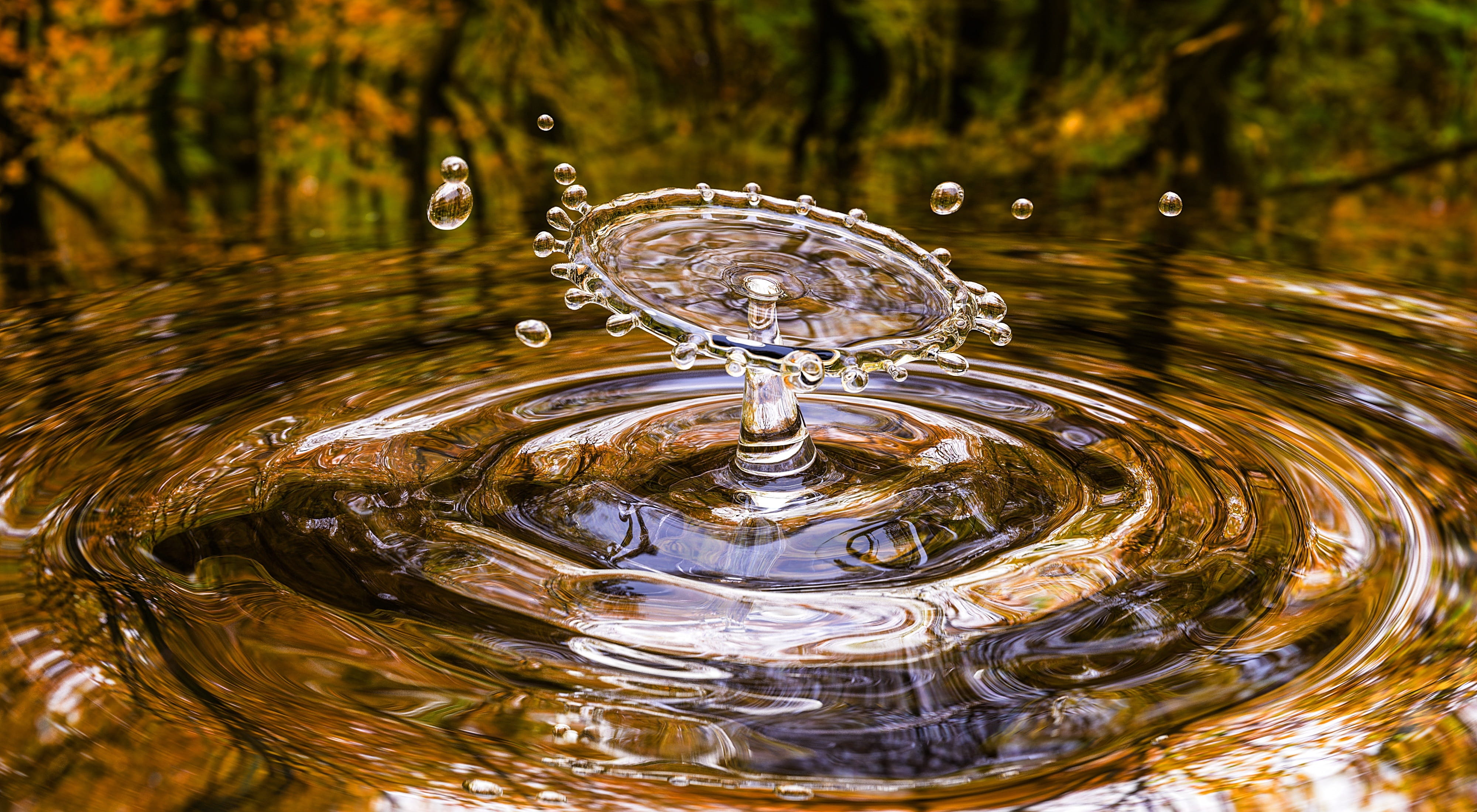 purity, reflections, high-speed photography, no people, nature, waterfront, fall, close-up, 4K, drop, focus on foreground, freshness, collide, water, clear, HD Wallpaper