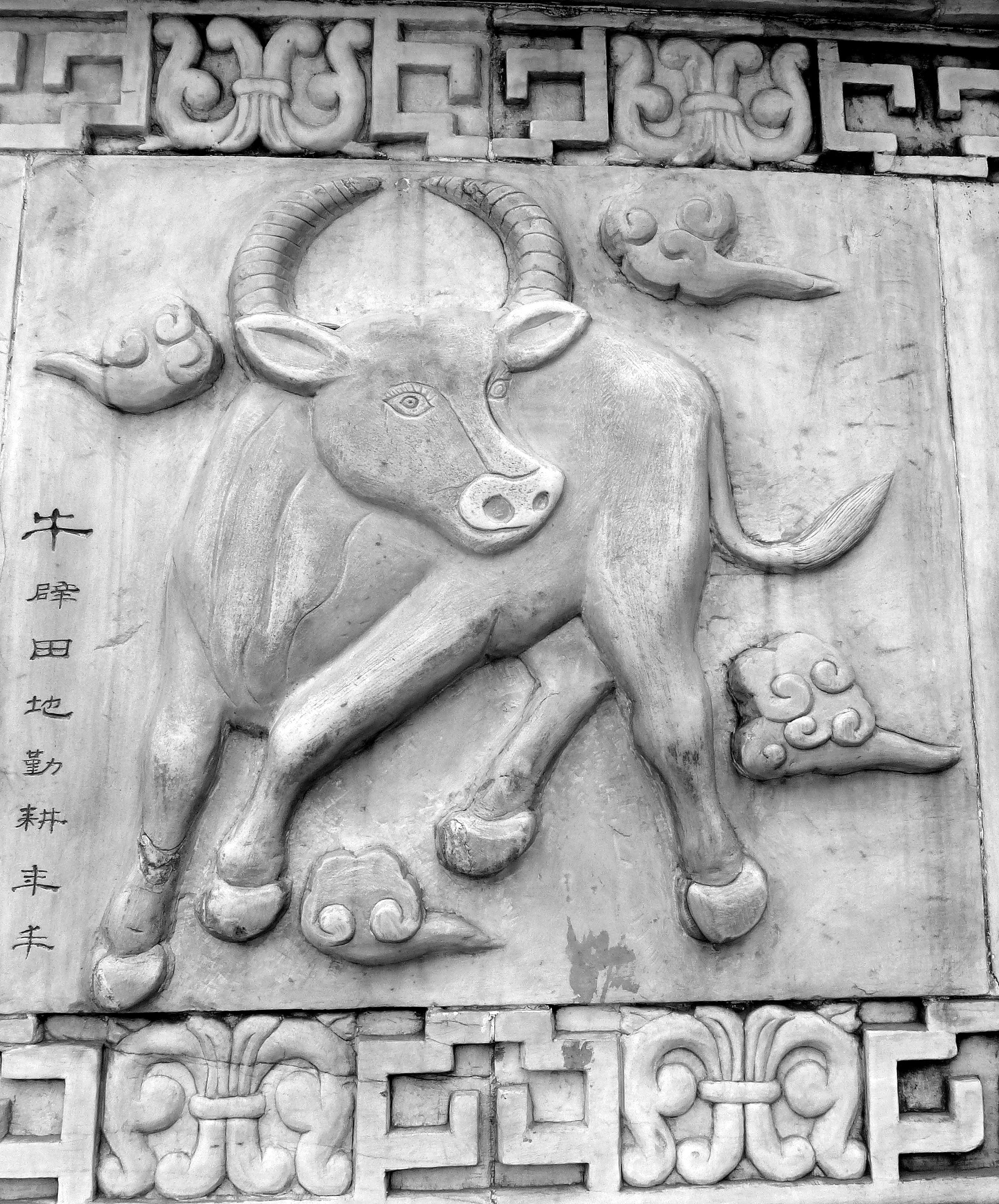 male likeness, history, carving, bas relief, human representation, ox, spirituality, china, craft, art, religion, eastern, taoism, creativity, the past, Phone HD Wallpaper