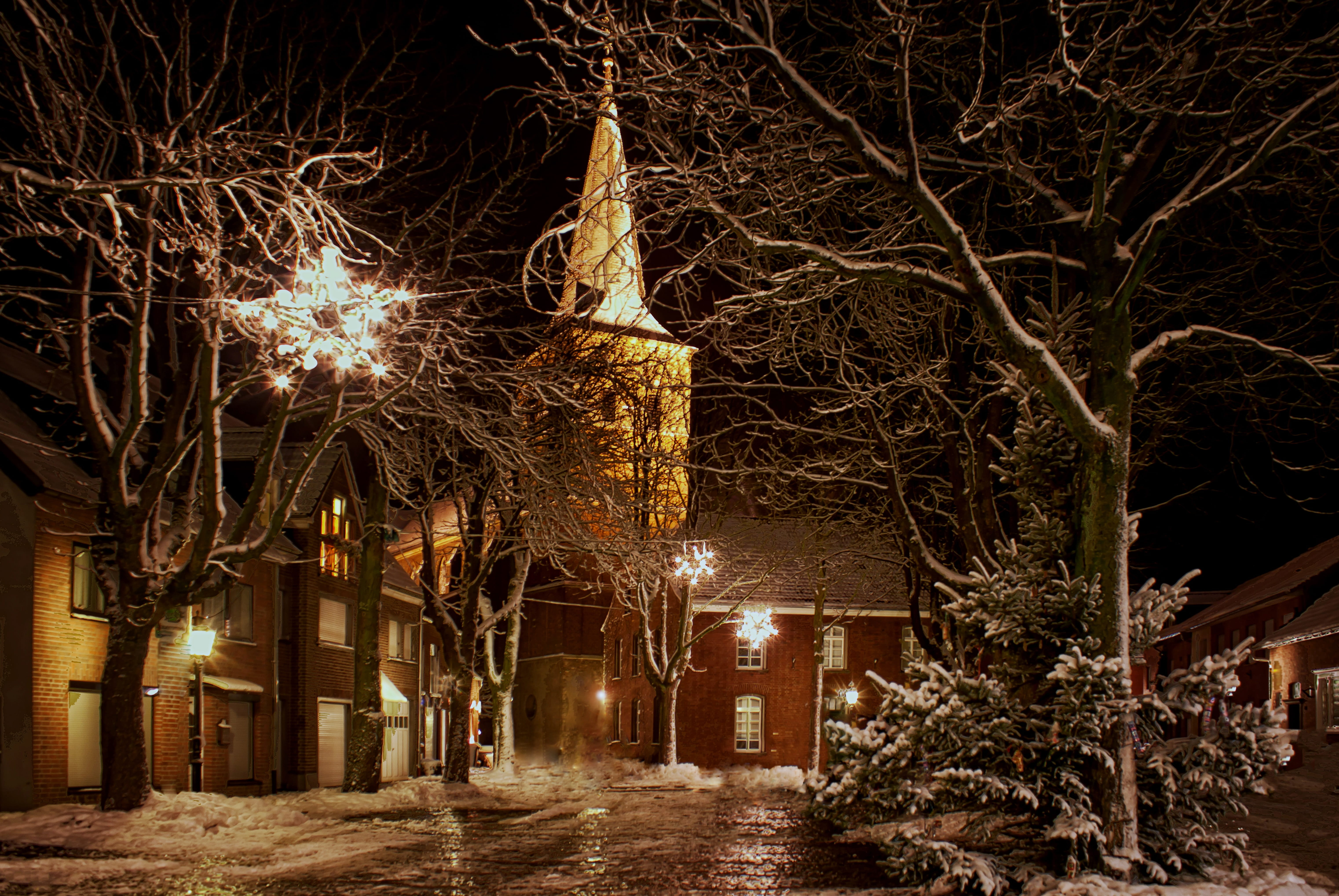 bare tree, holy, christmas time, jesus, light, birth, christian, heat, angel, church, tree trunk, landscape, outdoors, atmosphere, star, plant, building exterior, HD Wallpaper