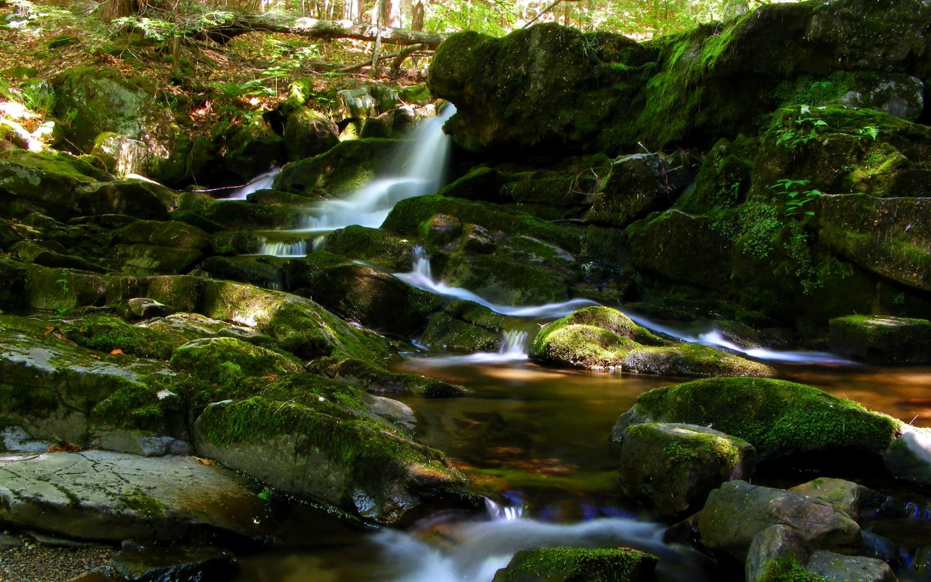 buck, waterfalls, 1080P, rocks, nature and landscapes, mountains, mountain, nature, waterfall, HD Wallpaper