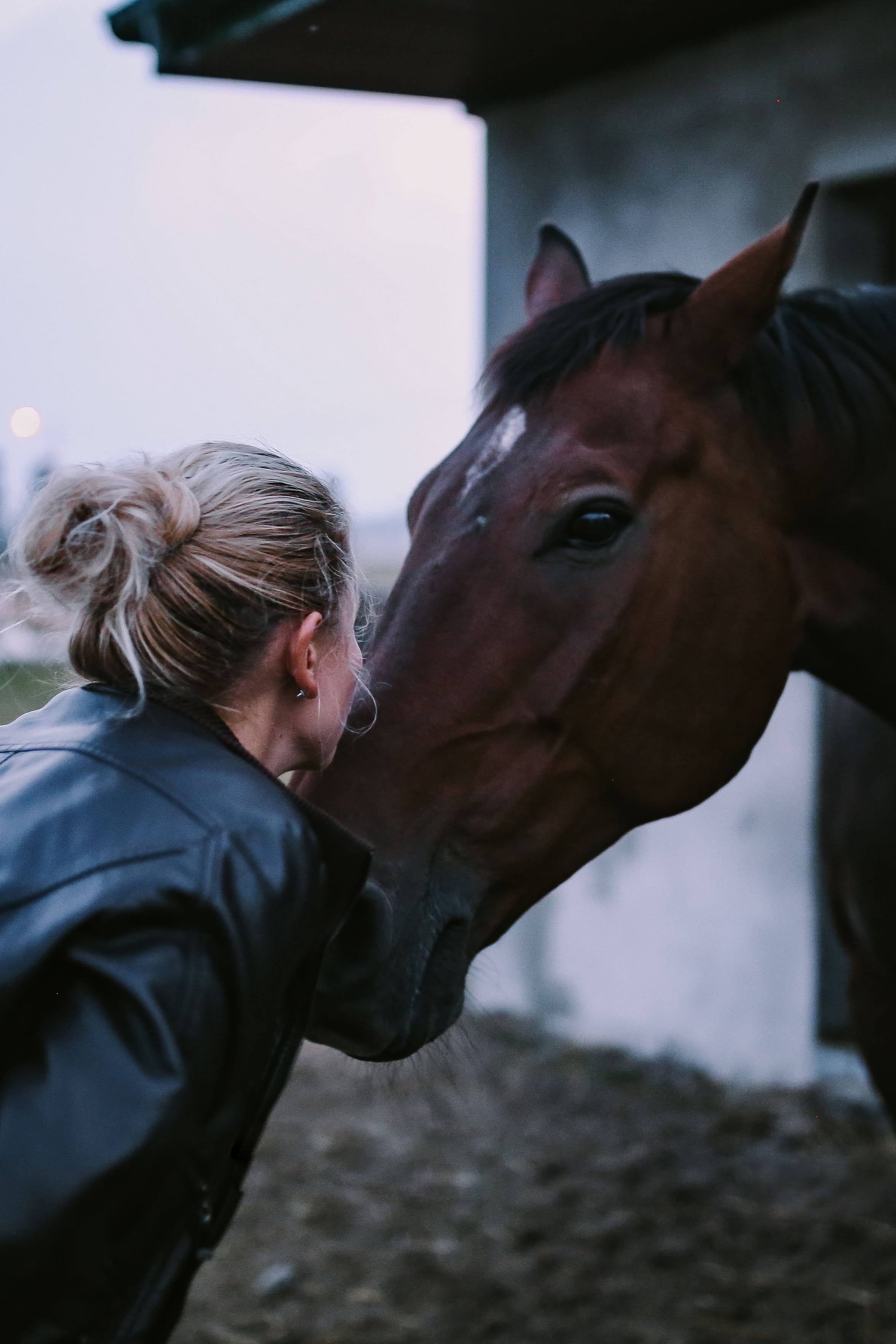 animal, domestic animals, one animal, 2K, Brown, enclosure, lifestyles, domestic, sport, riding, pets, one Person, stallion, real people, leisure activity, Phone HD Wallpaper