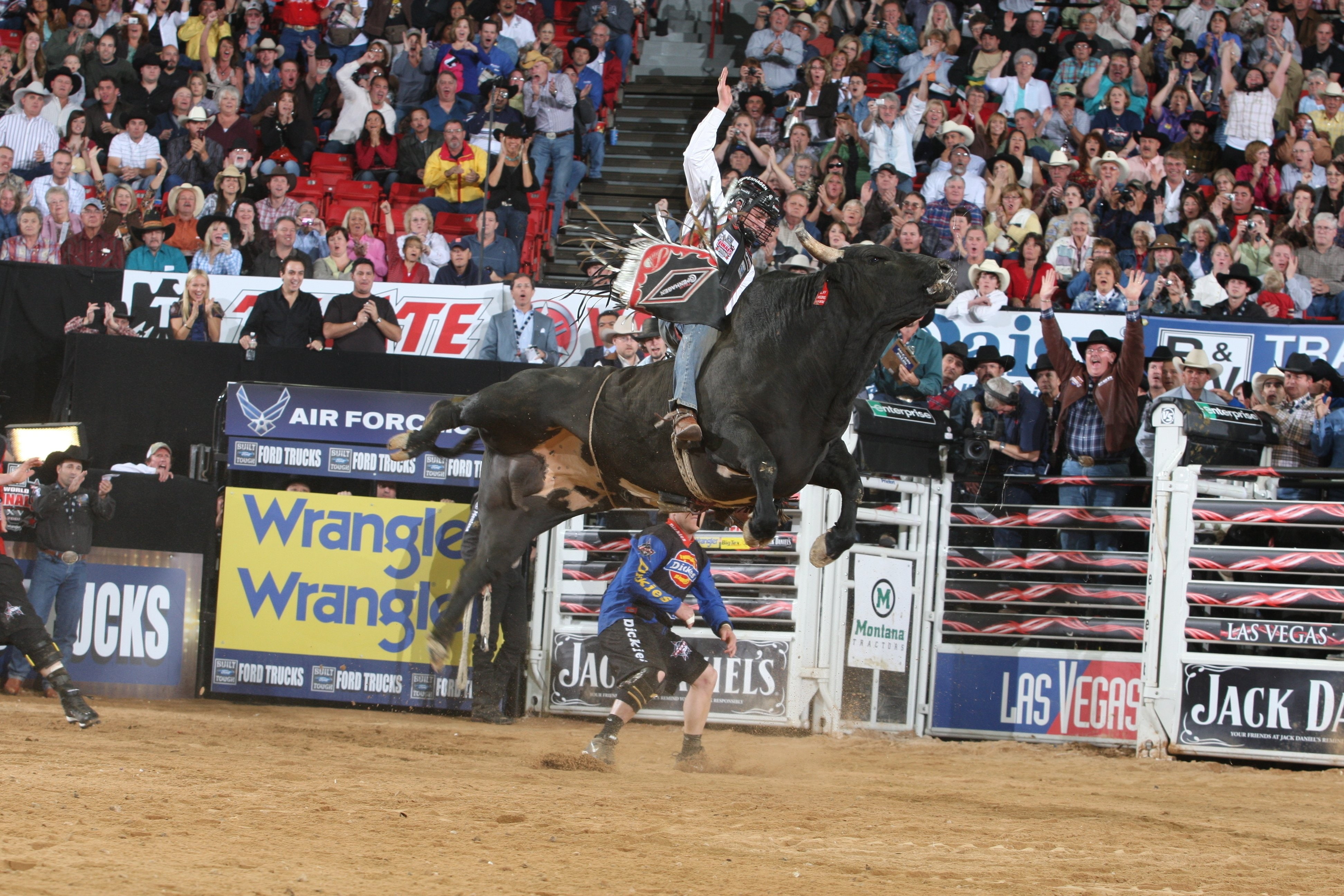 cow, western, extreme, rodeo, 4K, bullrider, 19 jpg, cowboy, riding, bull, HD Wallpaper