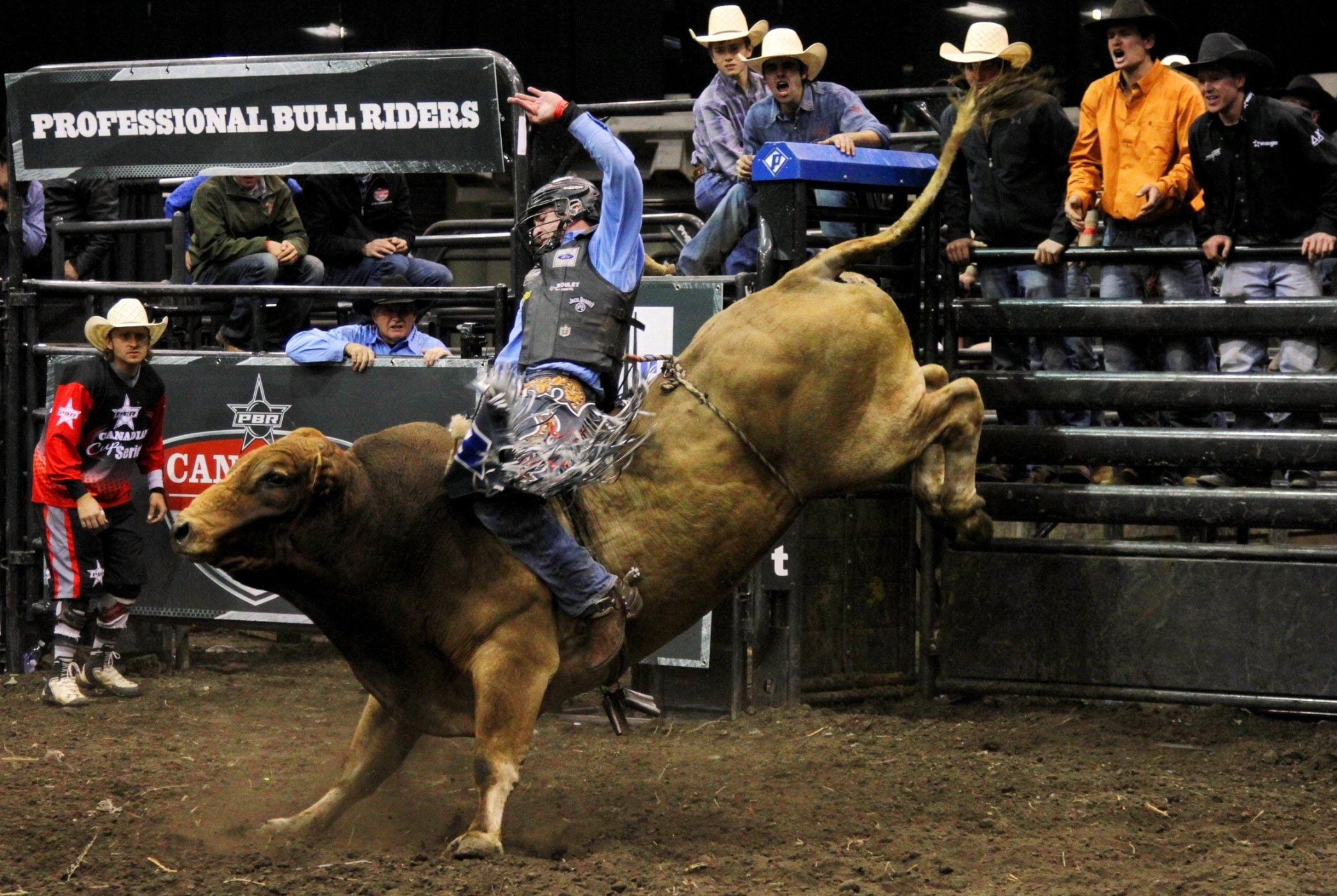 bullrider, bull, 9 jpg, 1080P, western, cow, rodeo, extreme, riding, cowboy, HD Wallpaper