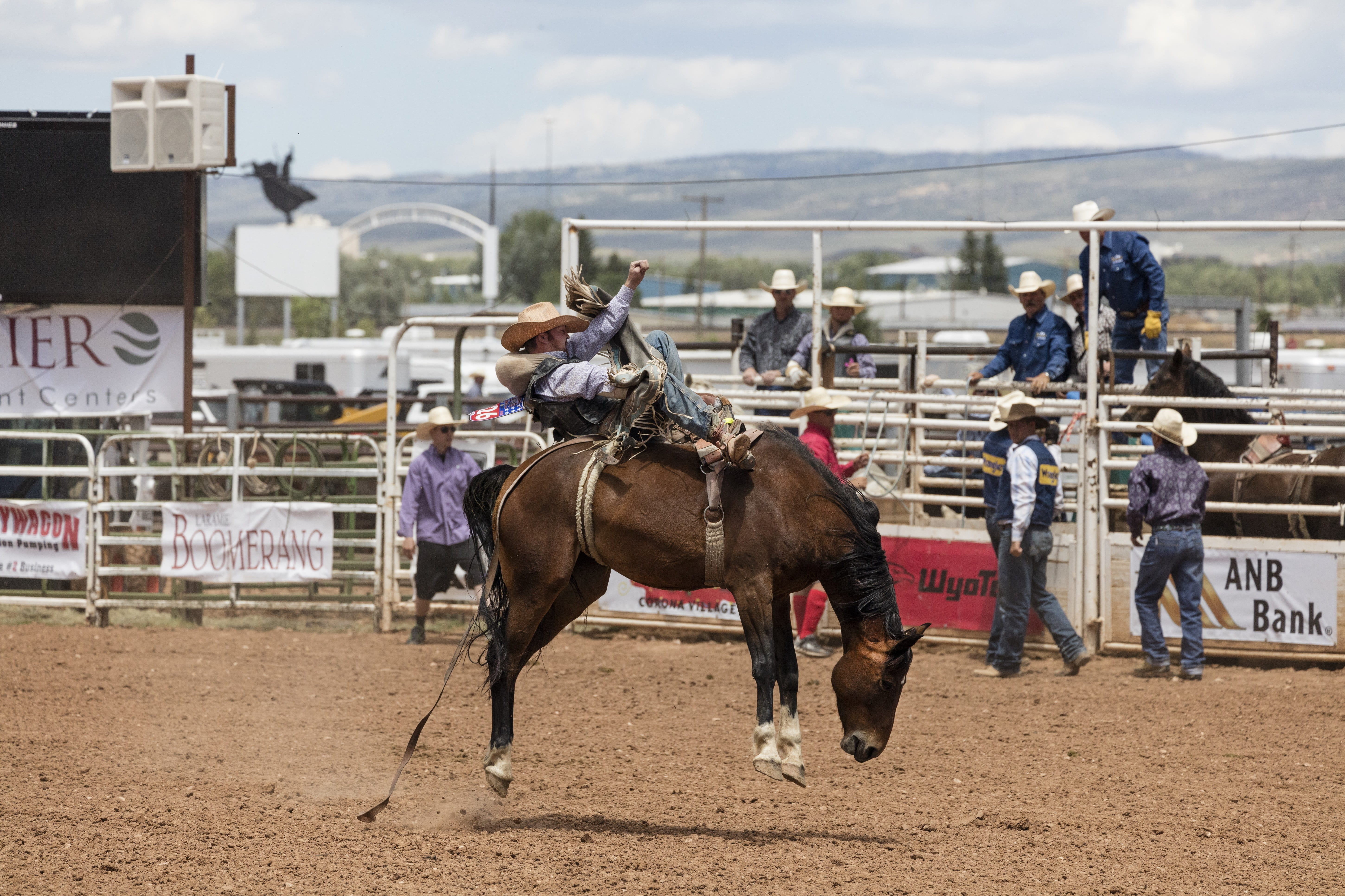 saddle, ride, horseback riding, man, bucking, spurs, men, lifestyles, dust, riding, bronco, mammal, action, outdoors, day, competition, pets, 5K, livestock, HD Wallpaper