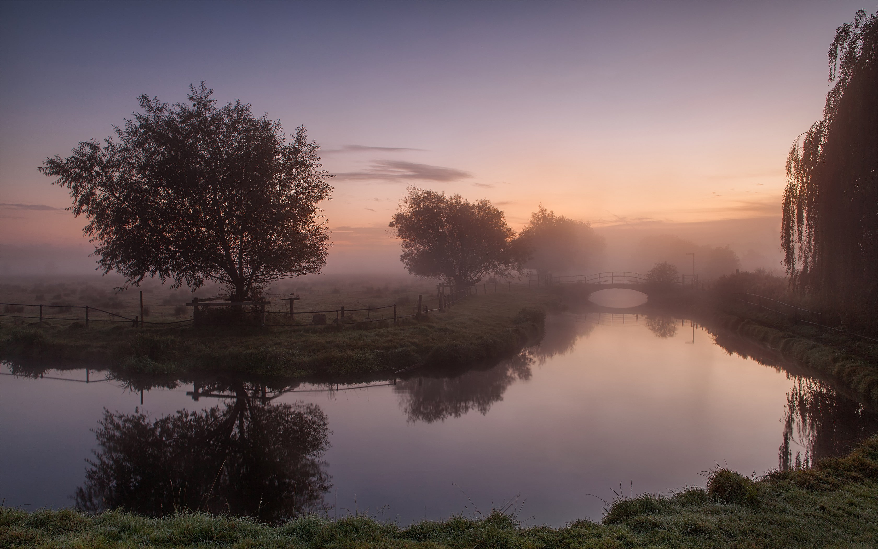 trees, 2K, river, mist, water, fence, field, landscape, grass, bridge, reflection, nature, HD Wallpaper