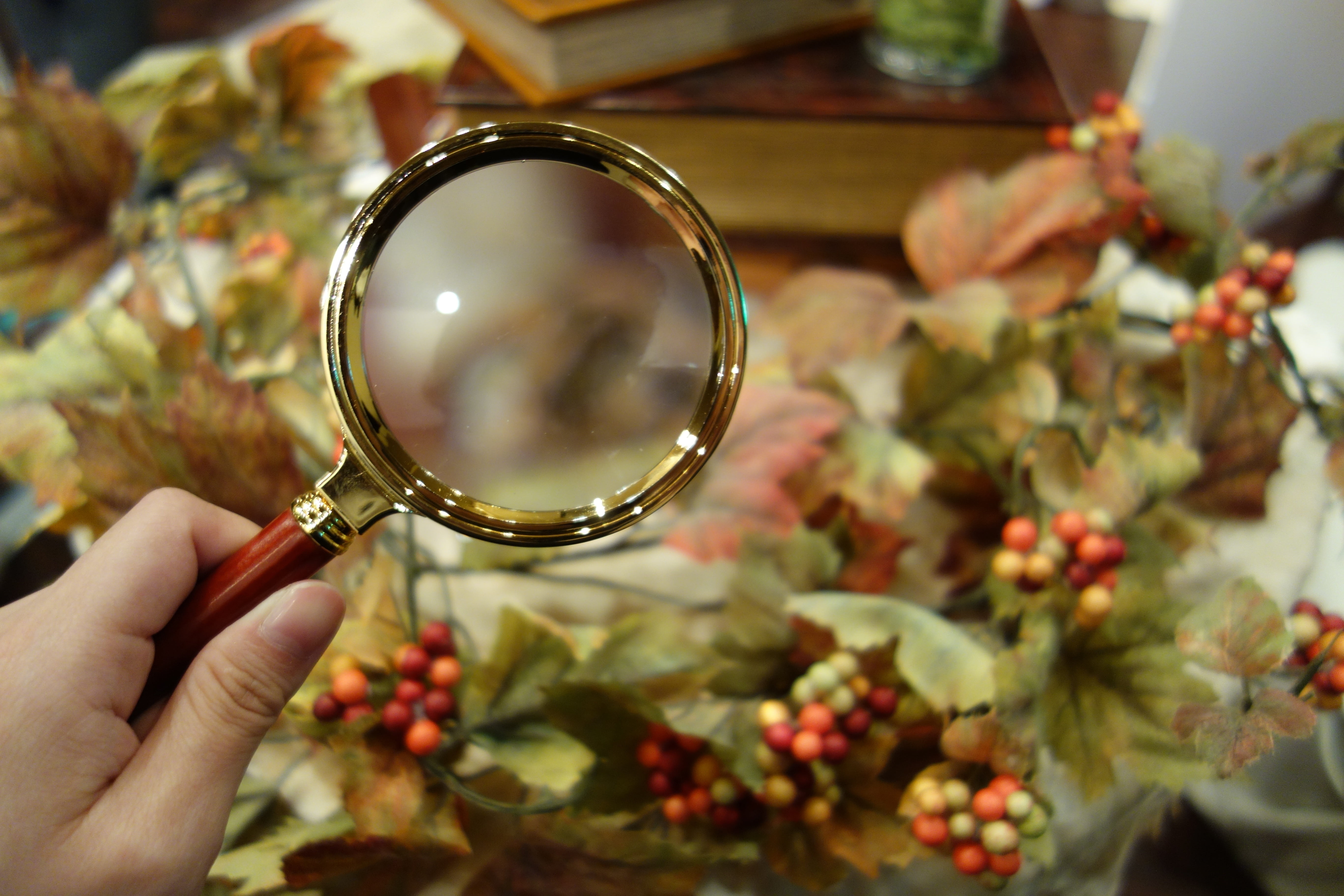 hand, human body part, indoors, nature, discovery, human hand, 5K, one person, mystery, focus on foreground, magnifying Glass, plant, magnification, looking through an object, HD Wallpaper